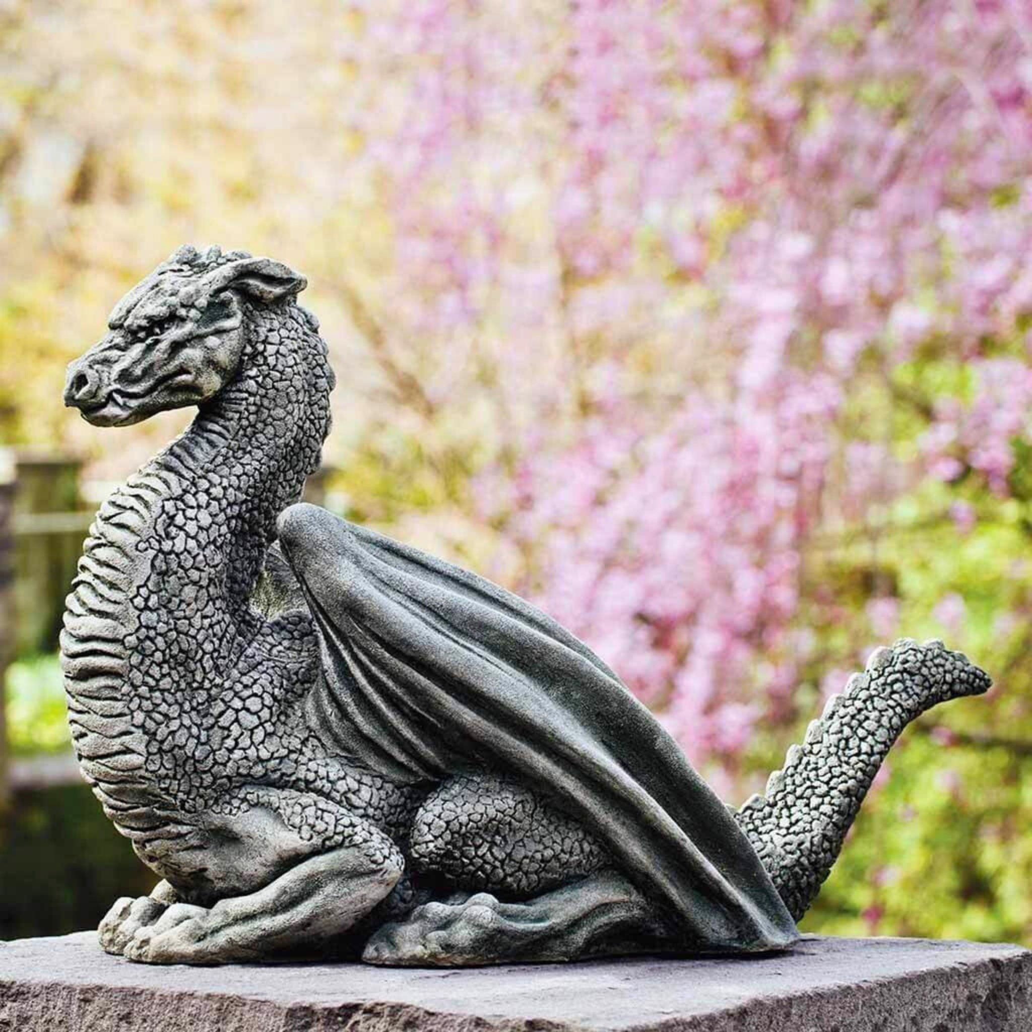 Pelath Dragon Concrete Garden Statue - Campania #OR145