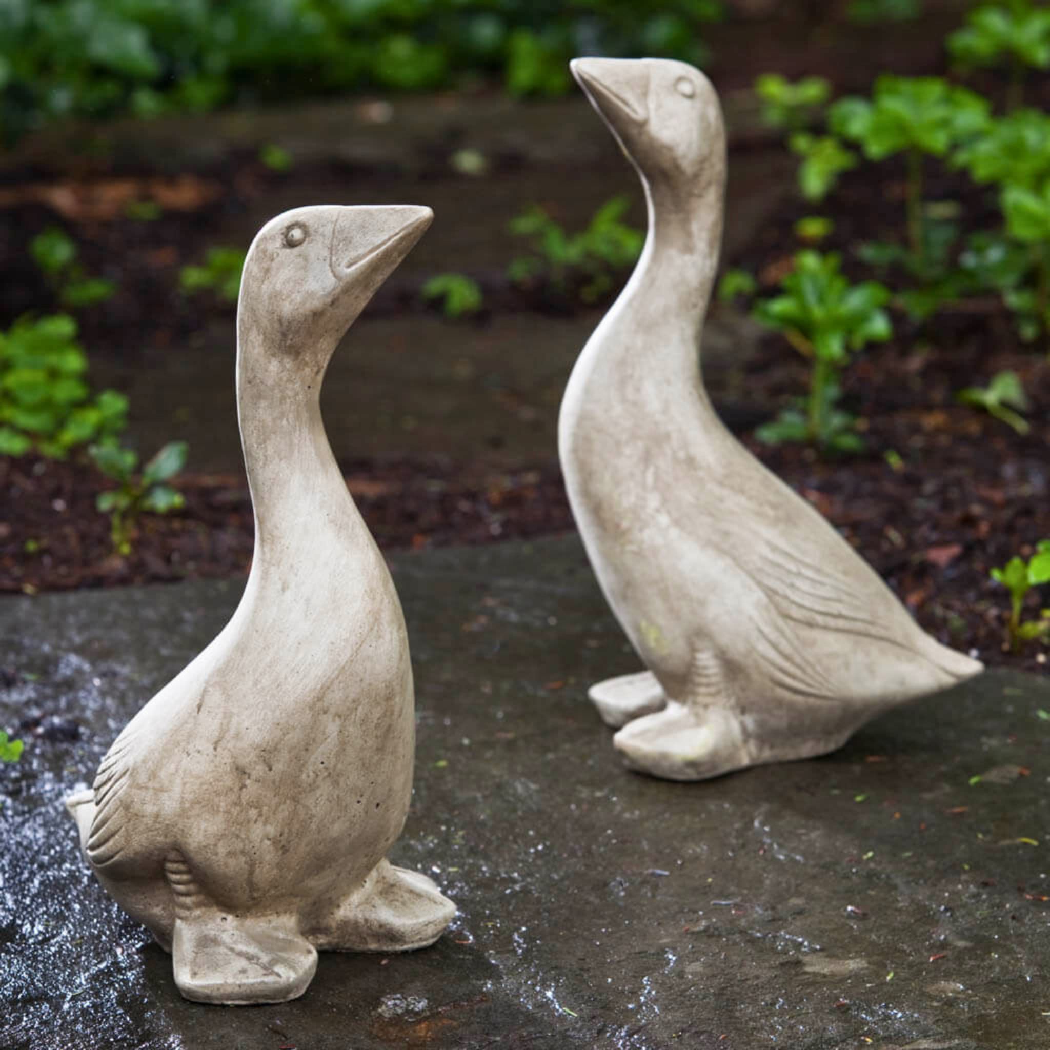 Kate's Goose Concrete Garden Statue - Campania #A423