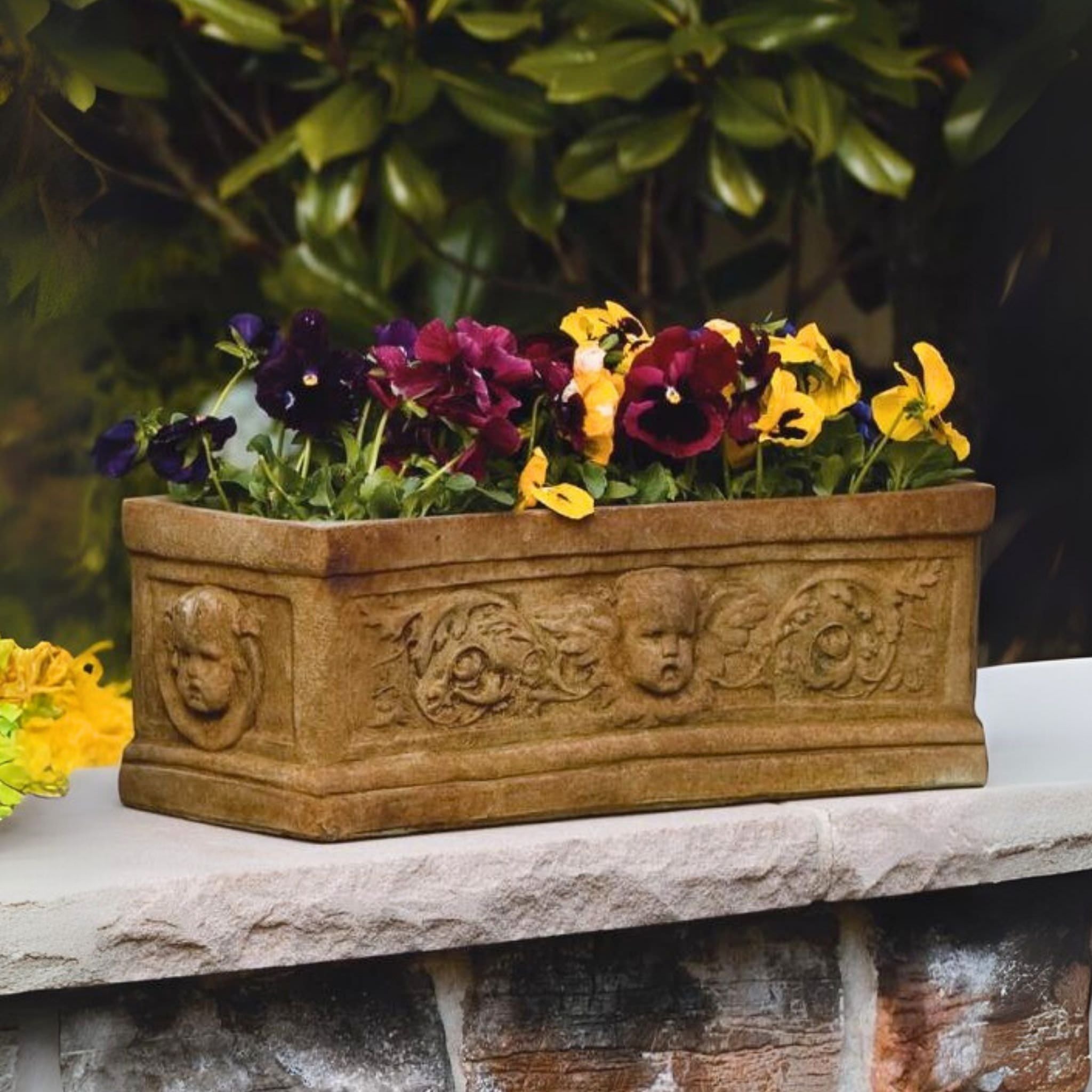 #6370 Angel Box Concrete Planter - Massarellis #6370