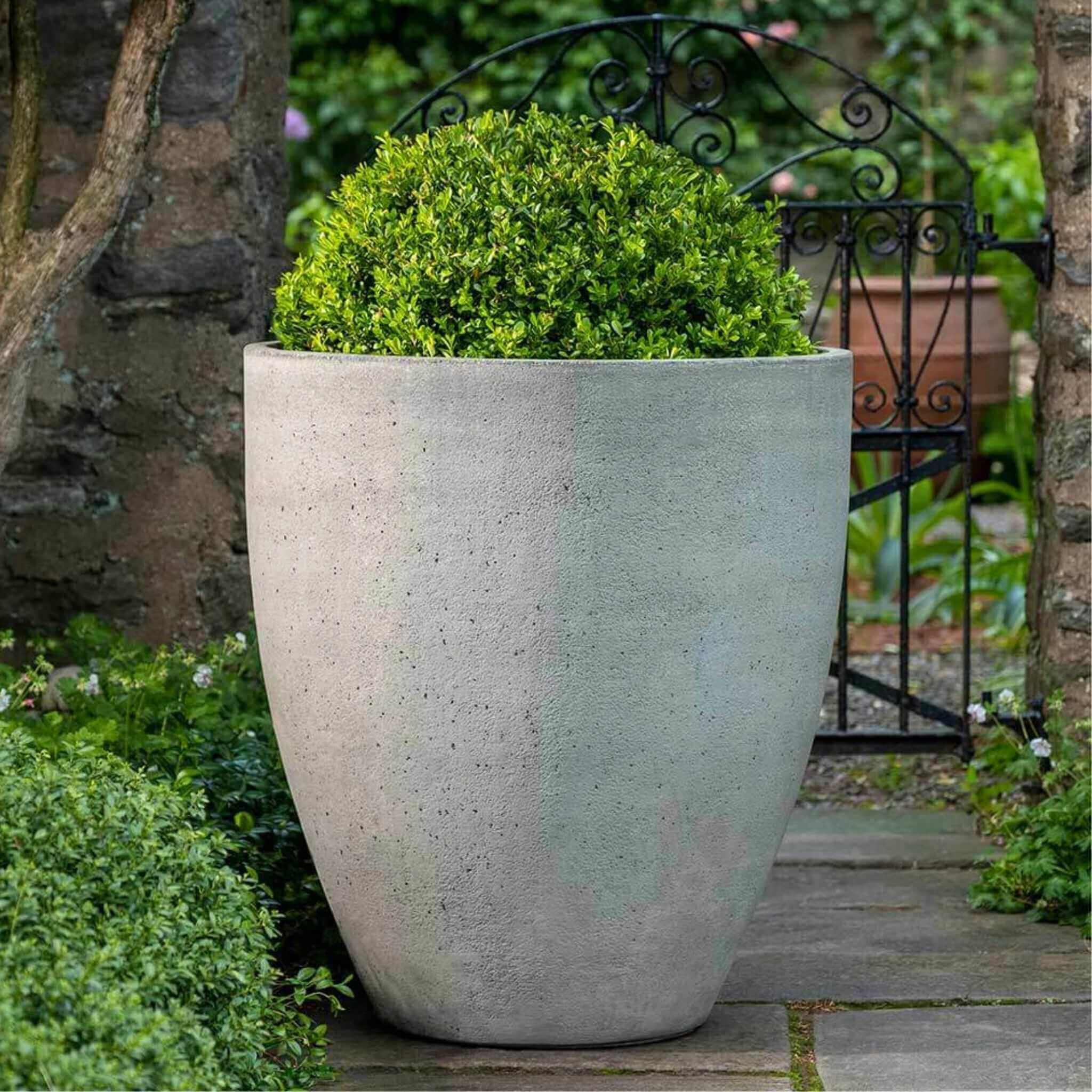 Series 3 Concrete Planters - Campania