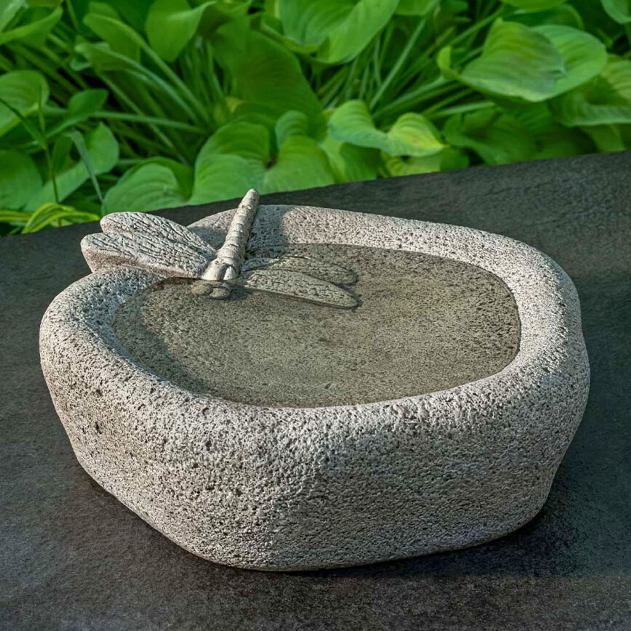 Woodland Dragonfly Concrete Bird Bath - Campania #B207