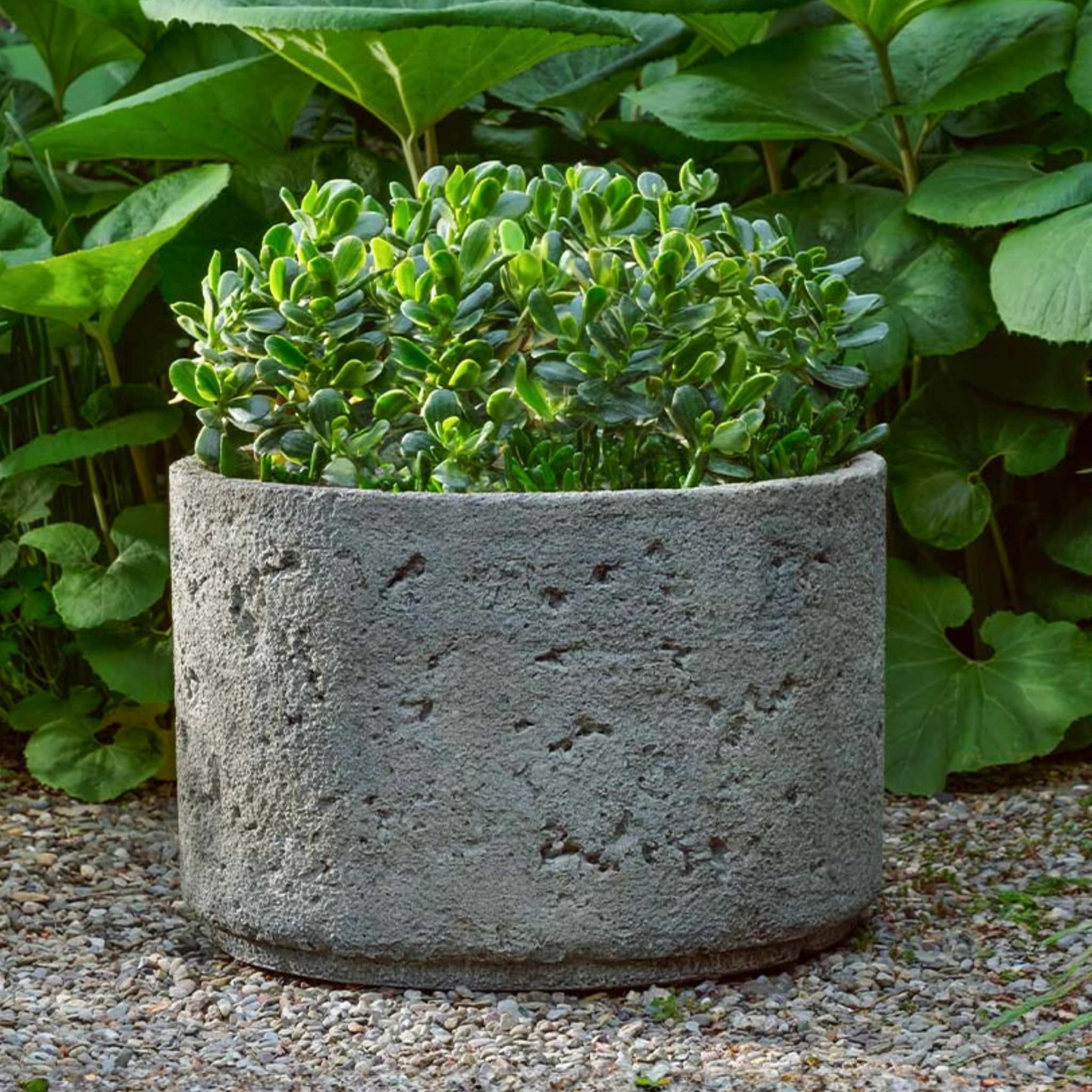  Paros Concrete Planter - Campania #P981