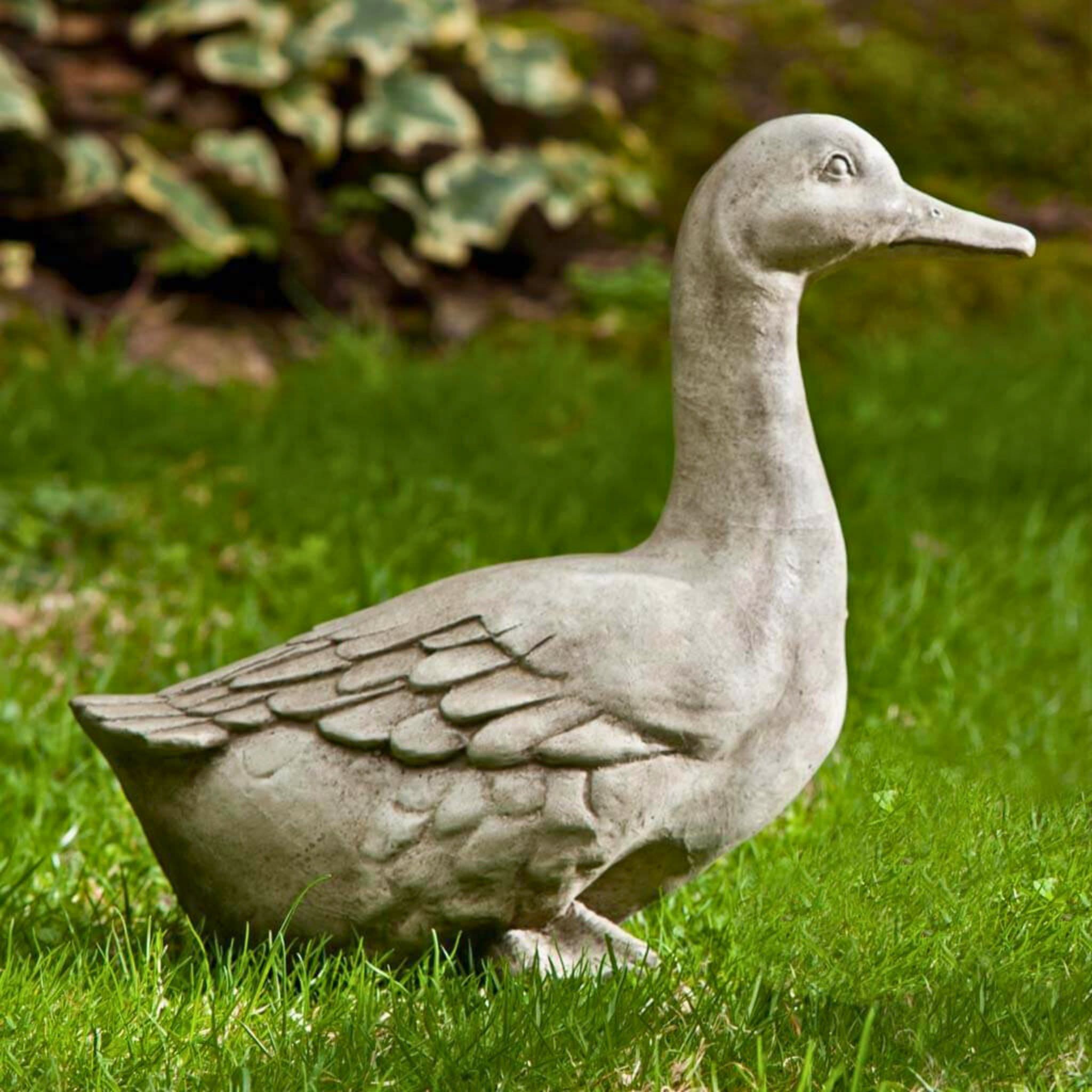 Quackers Duck Concrete Garden Statue - Campania #A436