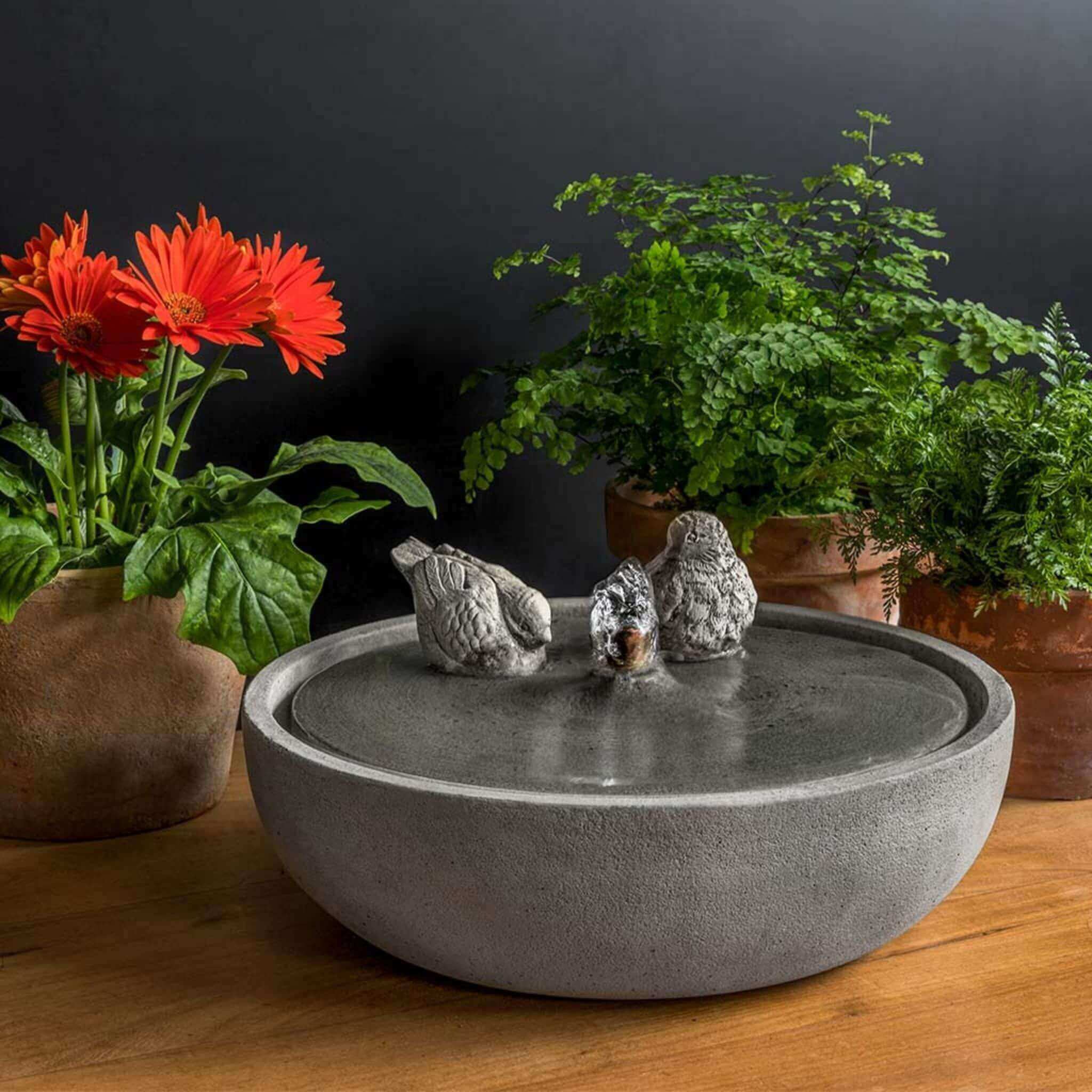 Songbird Concrete Fountain