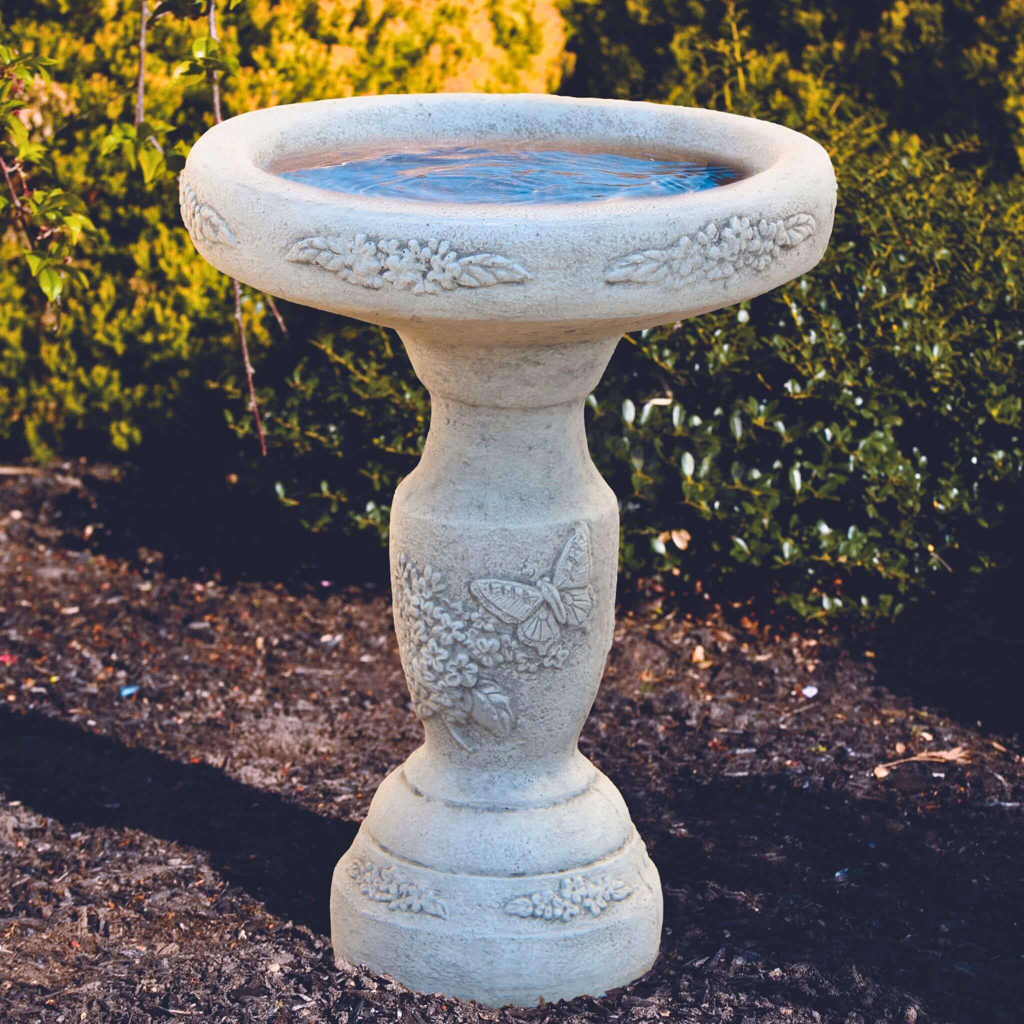 Massarelli's Bird Bath