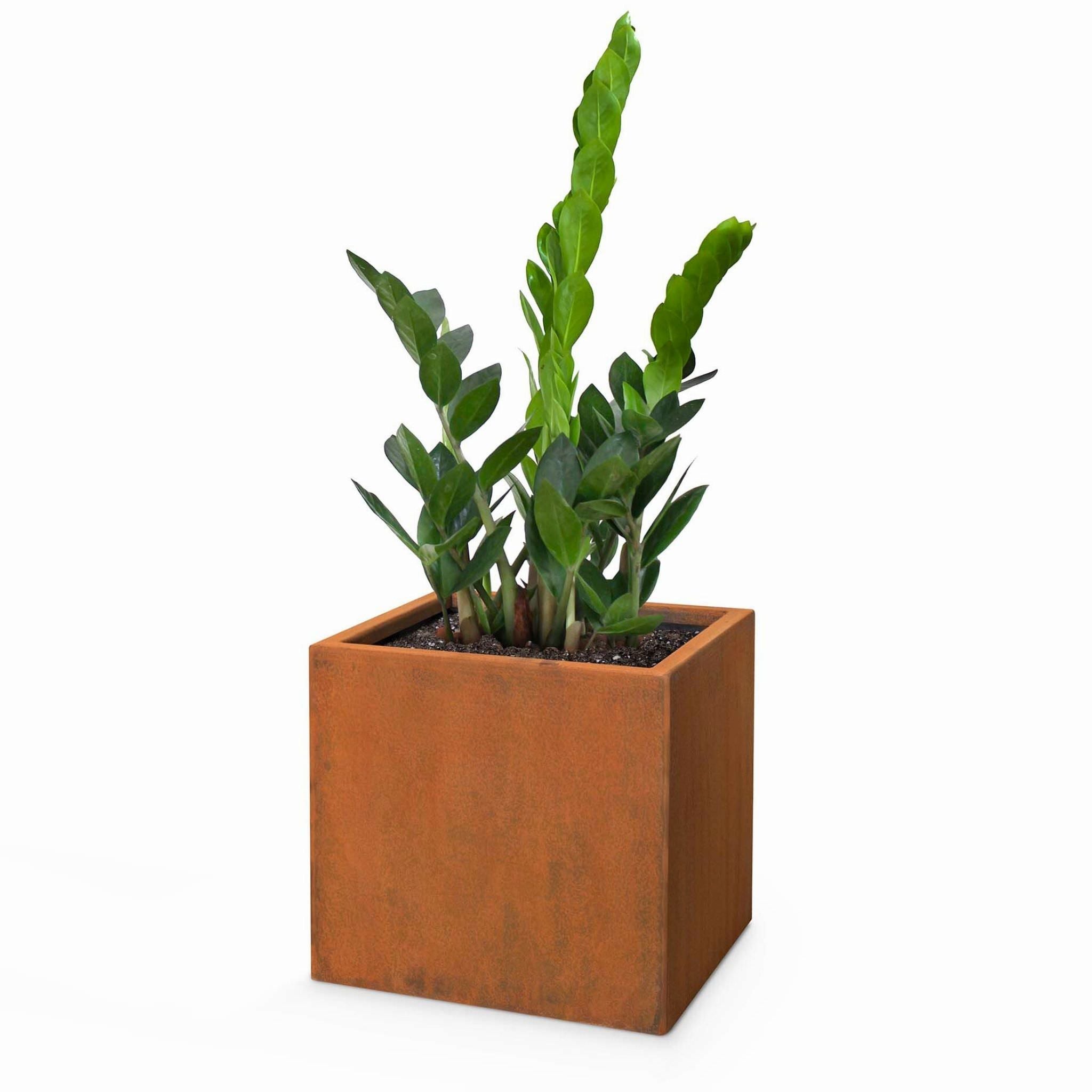 Moderna Square Corten Steel Planter - The Outdoor Plus