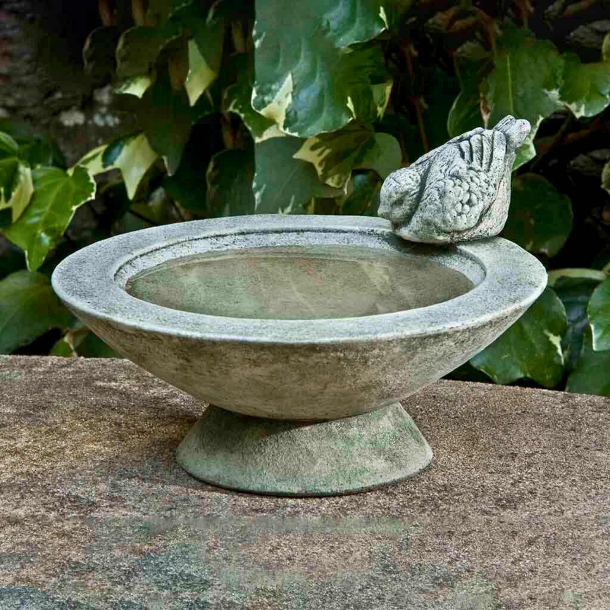 Songbird's Rest Concrete Bird Bath - Campania #B140
