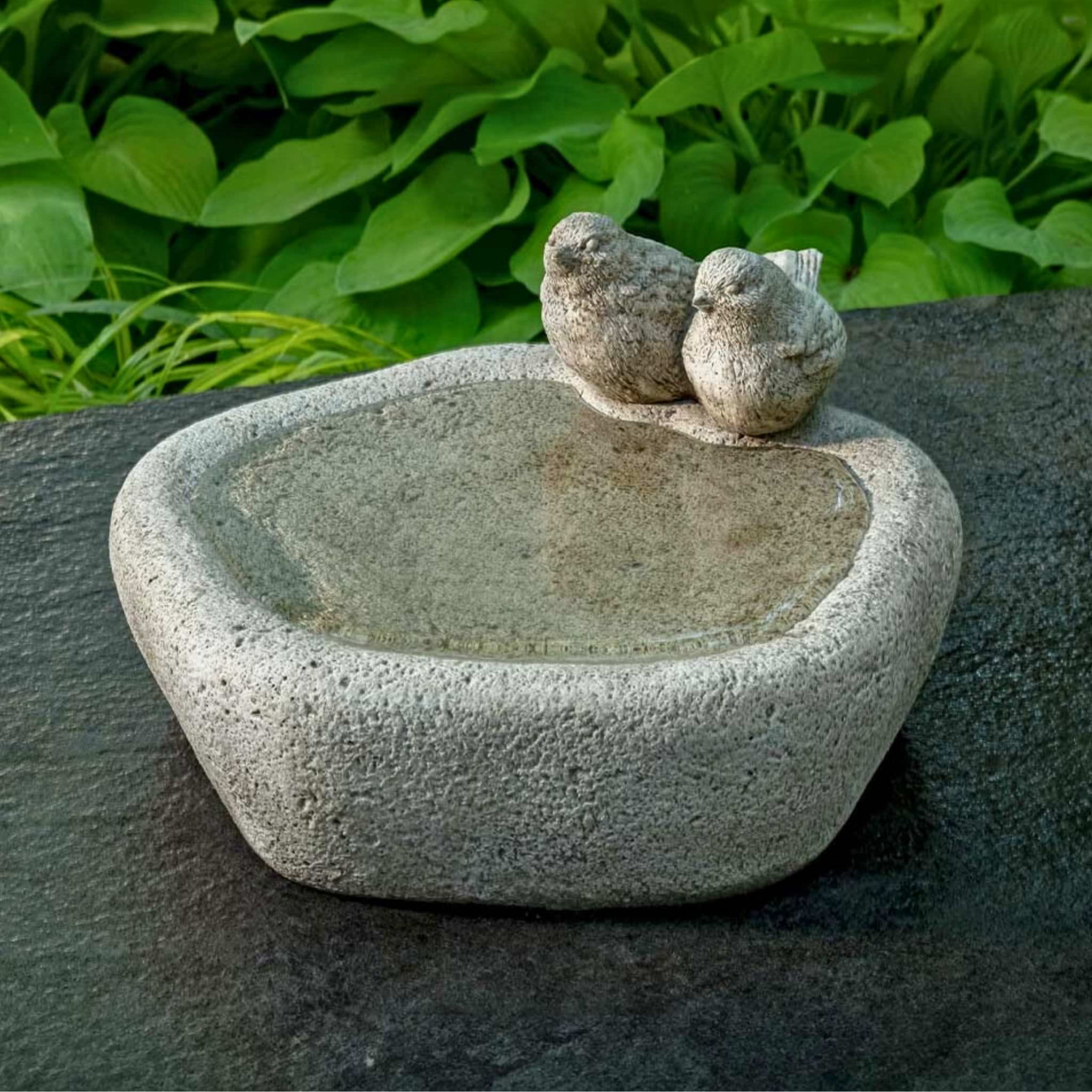 Woodland Birds Concrete Bird Bath - Campania #B206