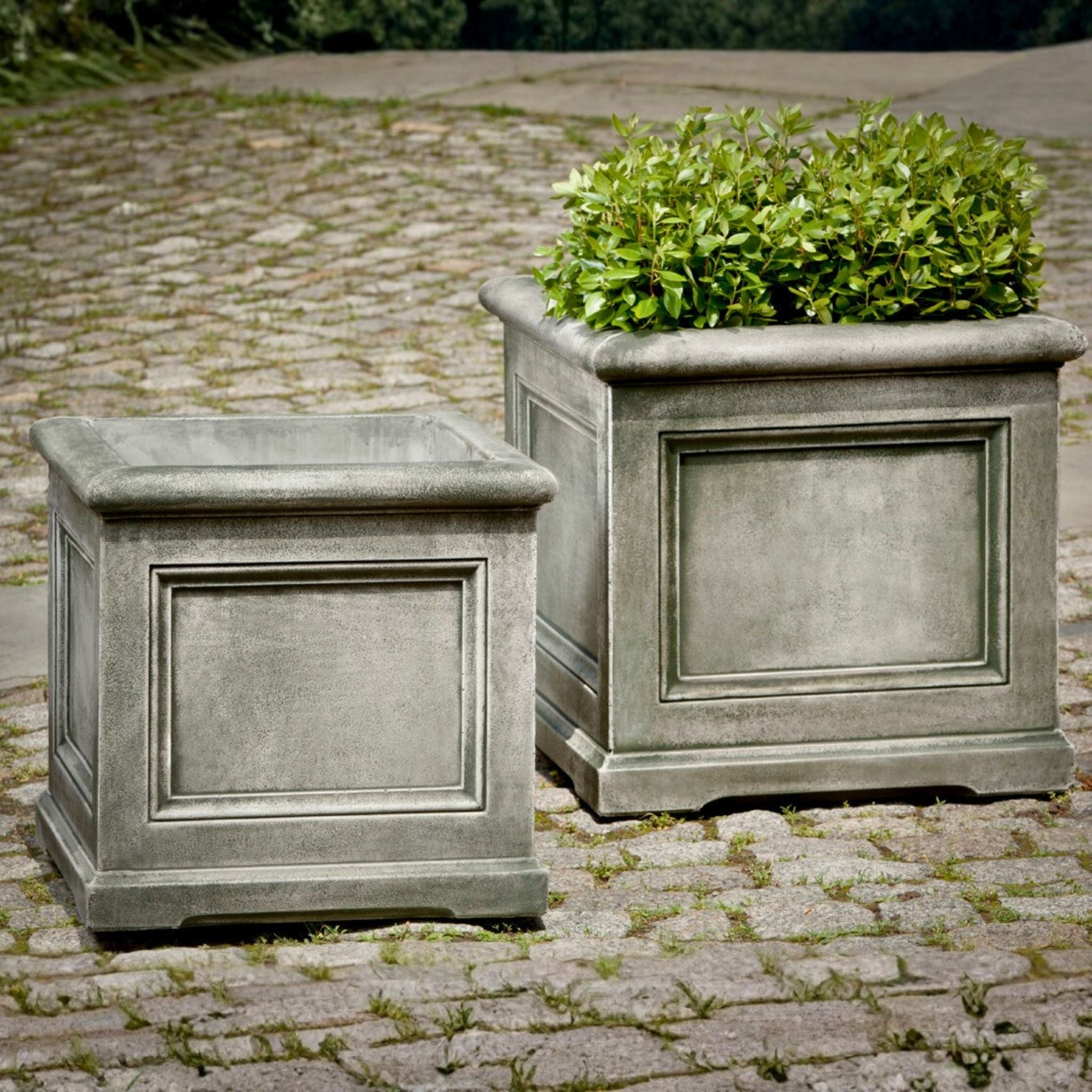 Orleans Concrete Box Planters