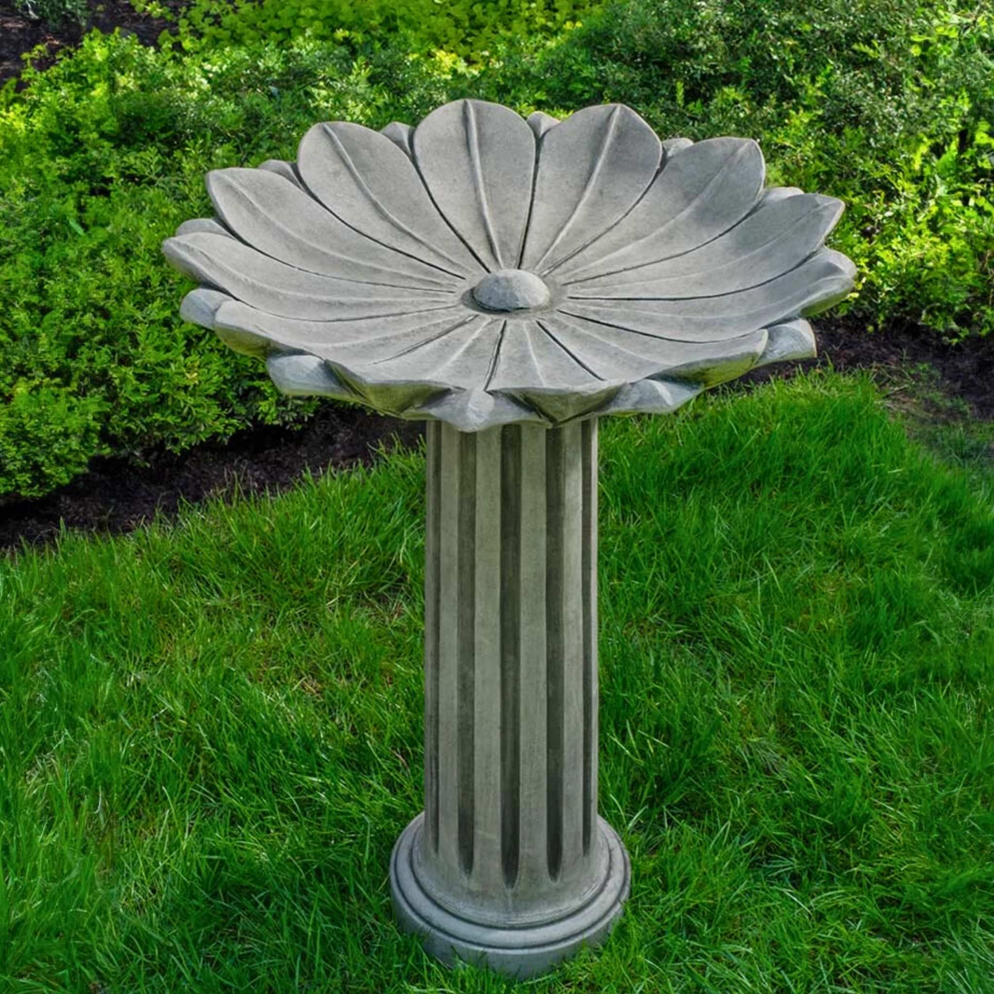 Marguerite Concrete Bird Bath - Campania #B204