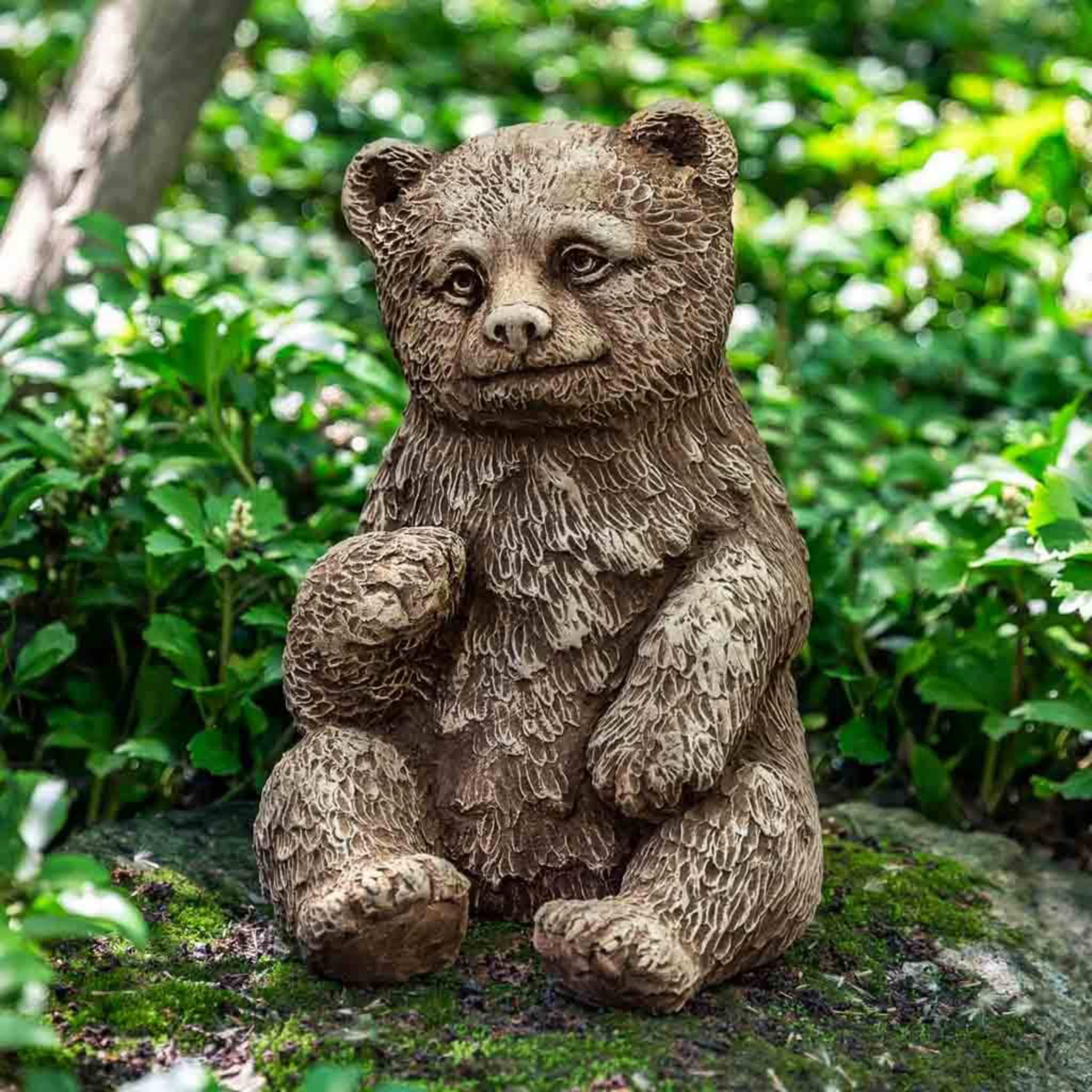 Bear Cub Concrete Garden Statue - Campania #A625
