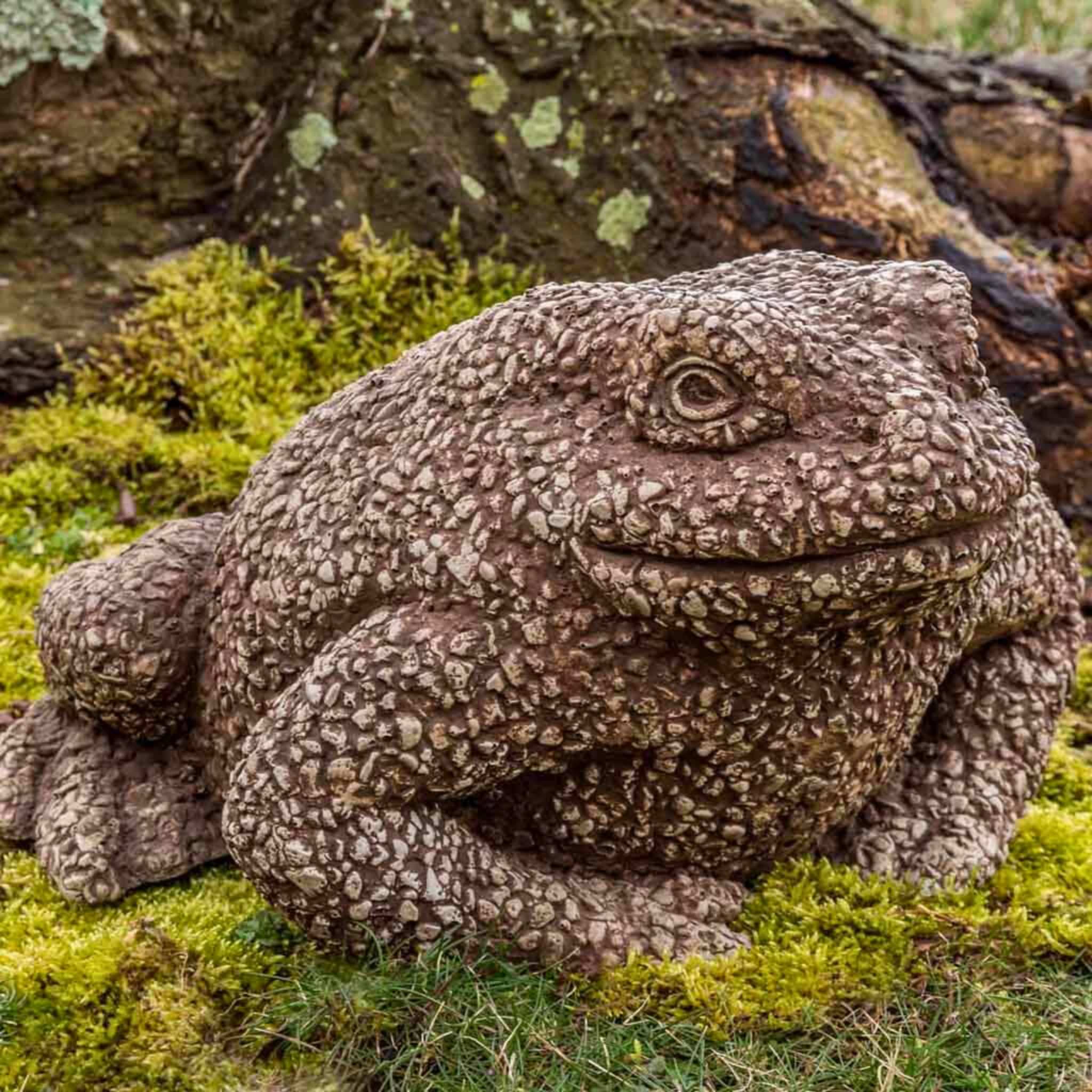 Forest Toad Concrete Garden Statue - Campania #A595