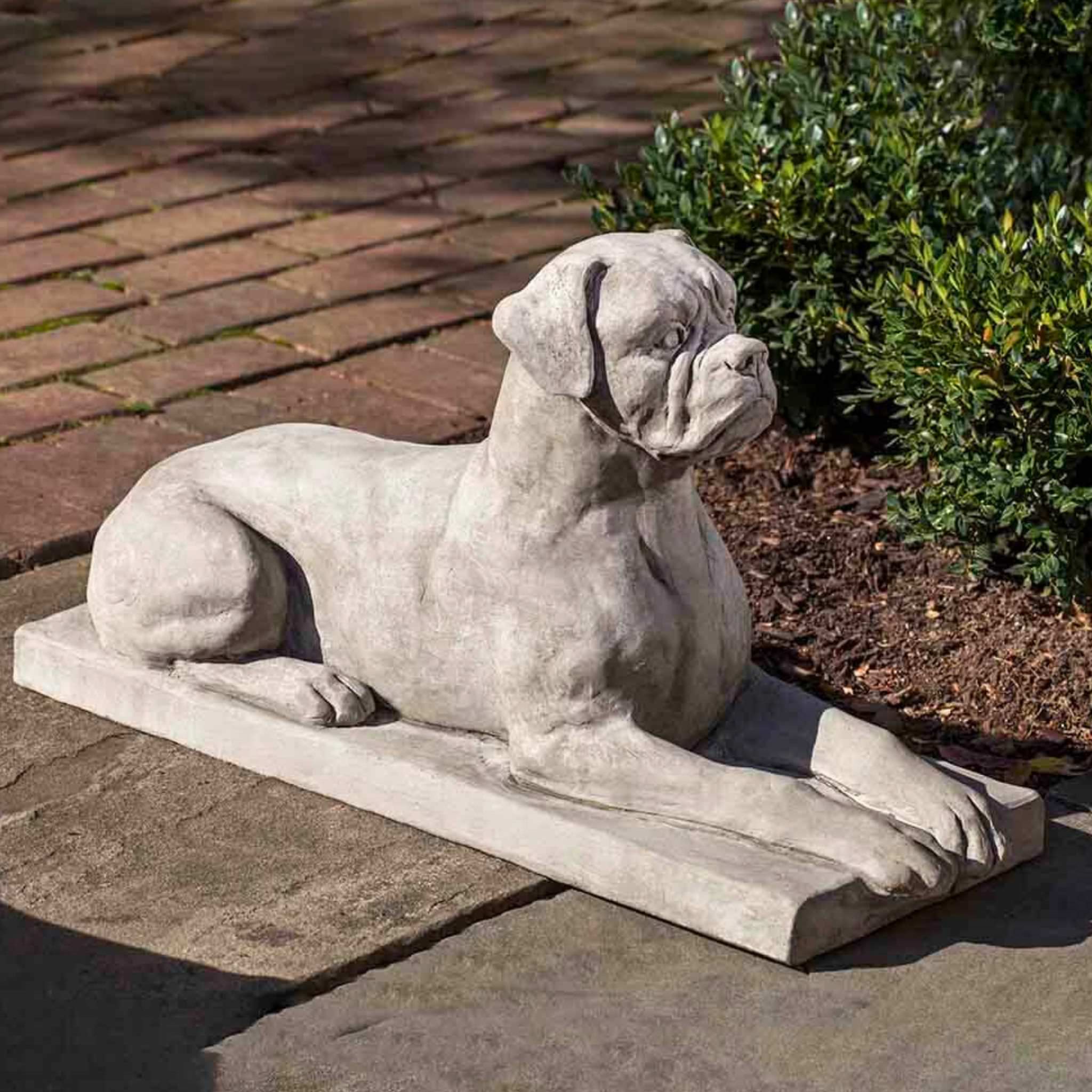 Boxer Concrete Garden Statue - Campania #A547