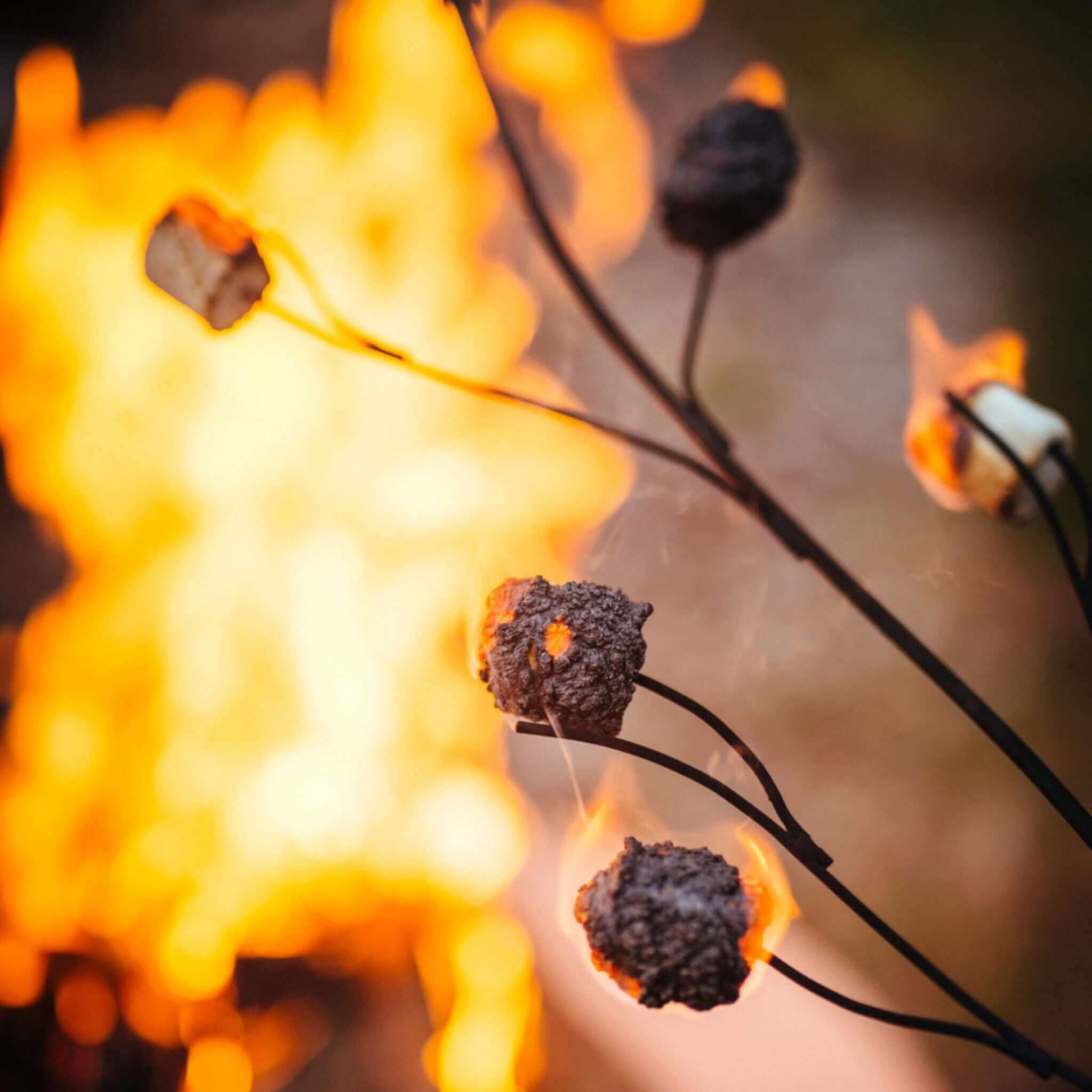 Roasting Stick for Marshmallows - Fire Pit Art