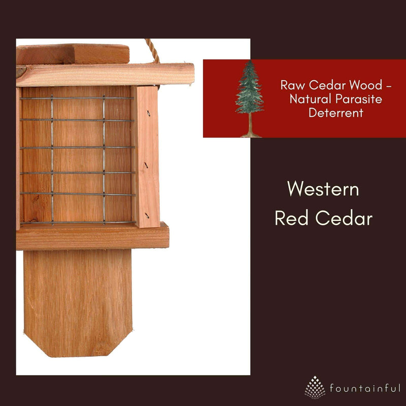 Suet 2-Cake Hanging Bird Feeder - Cedar Wood | Winter Woodworks