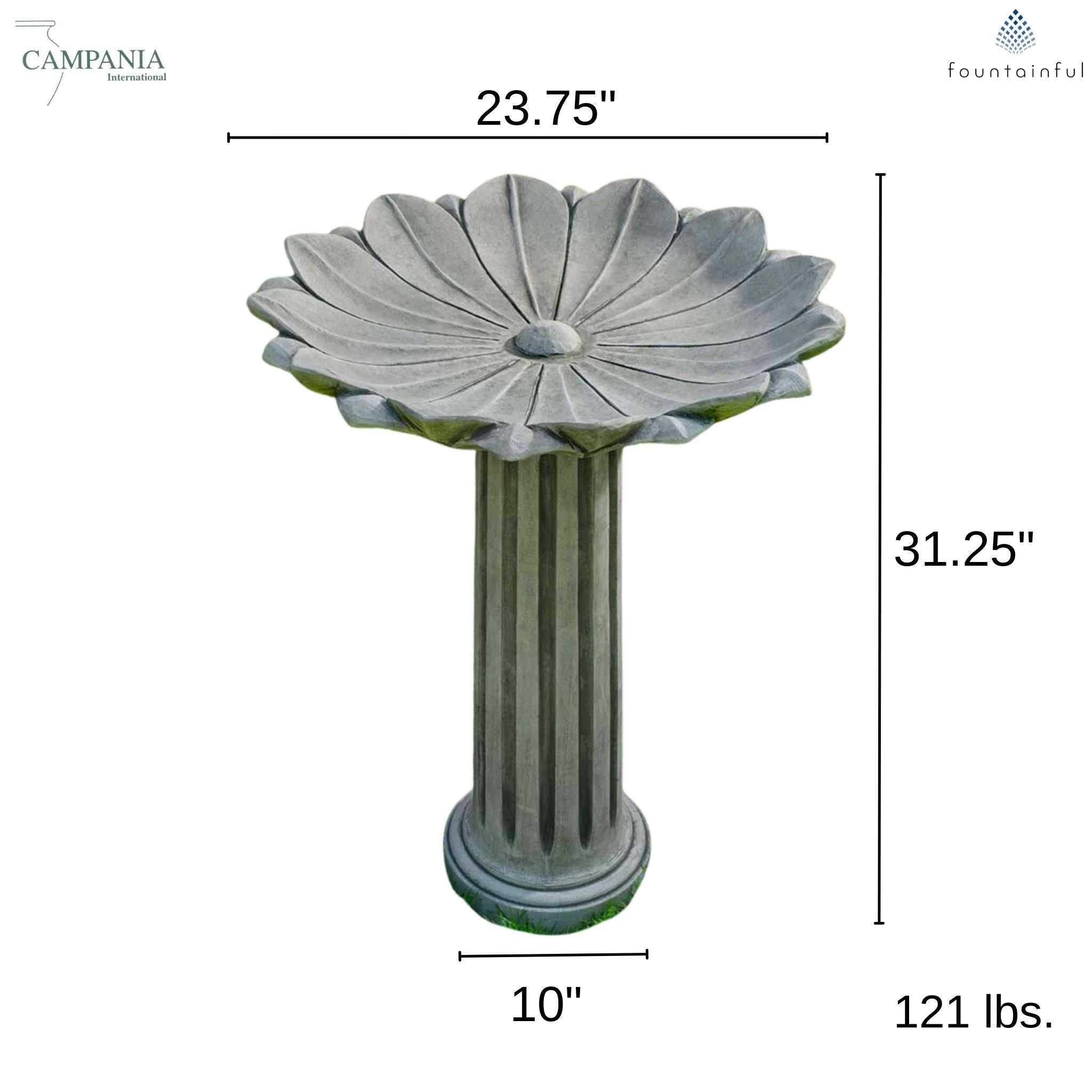 Marguerite Concrete Bird Bath - Campania #B204