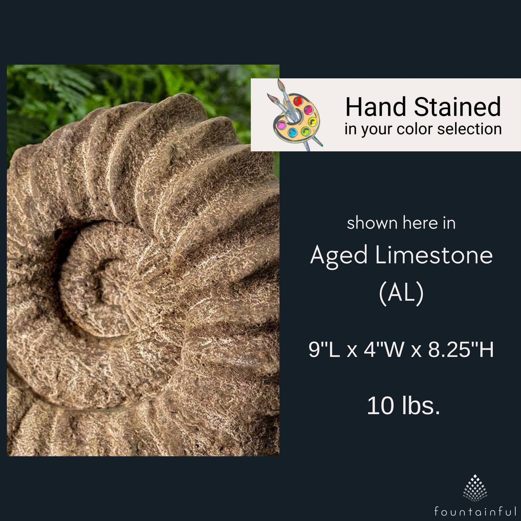 Sea Ammonite Concrete Garden Statue - Campania #S529