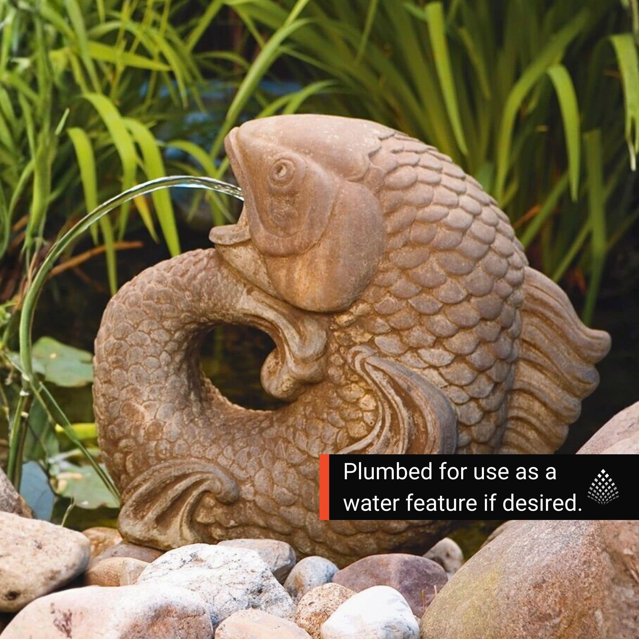 Curling Carp Large Plumbed Concrete Statue - Massarellis #9520