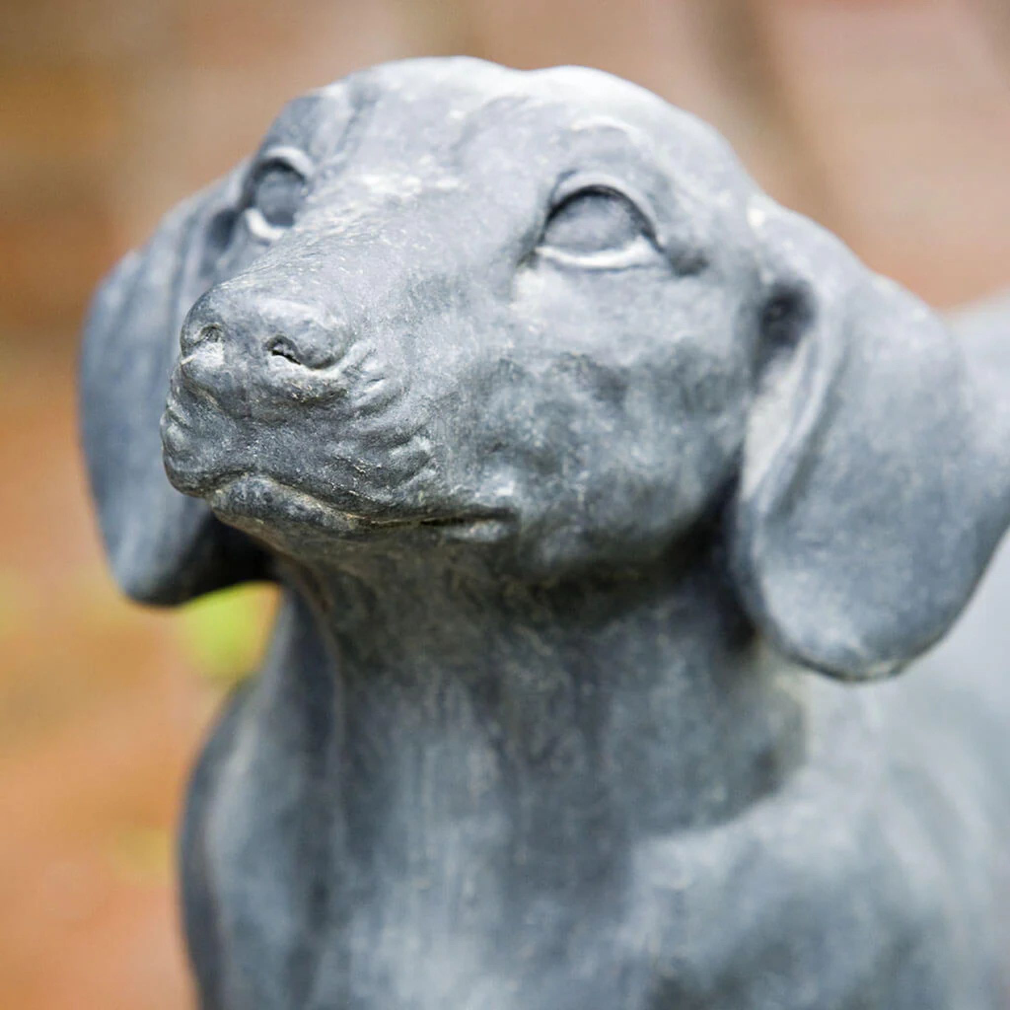 Fritz Dachshund Concrete Garden Statue - Campania #A338