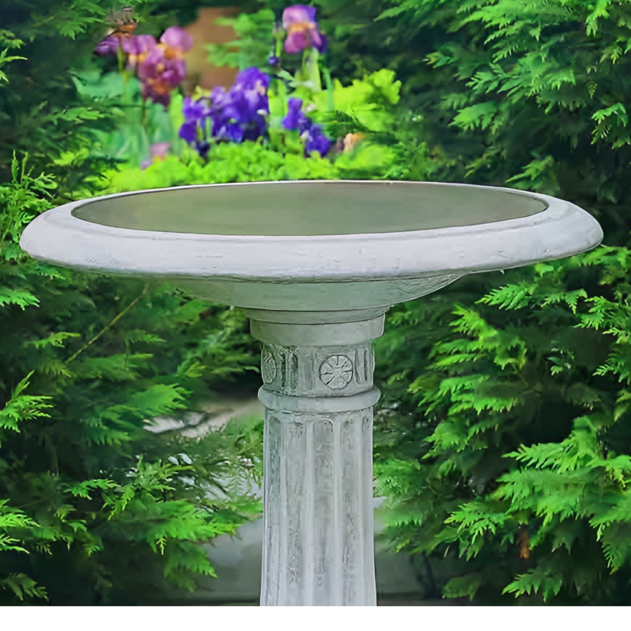 Chestnut Hill Concrete Bird Bath - Campania #B050