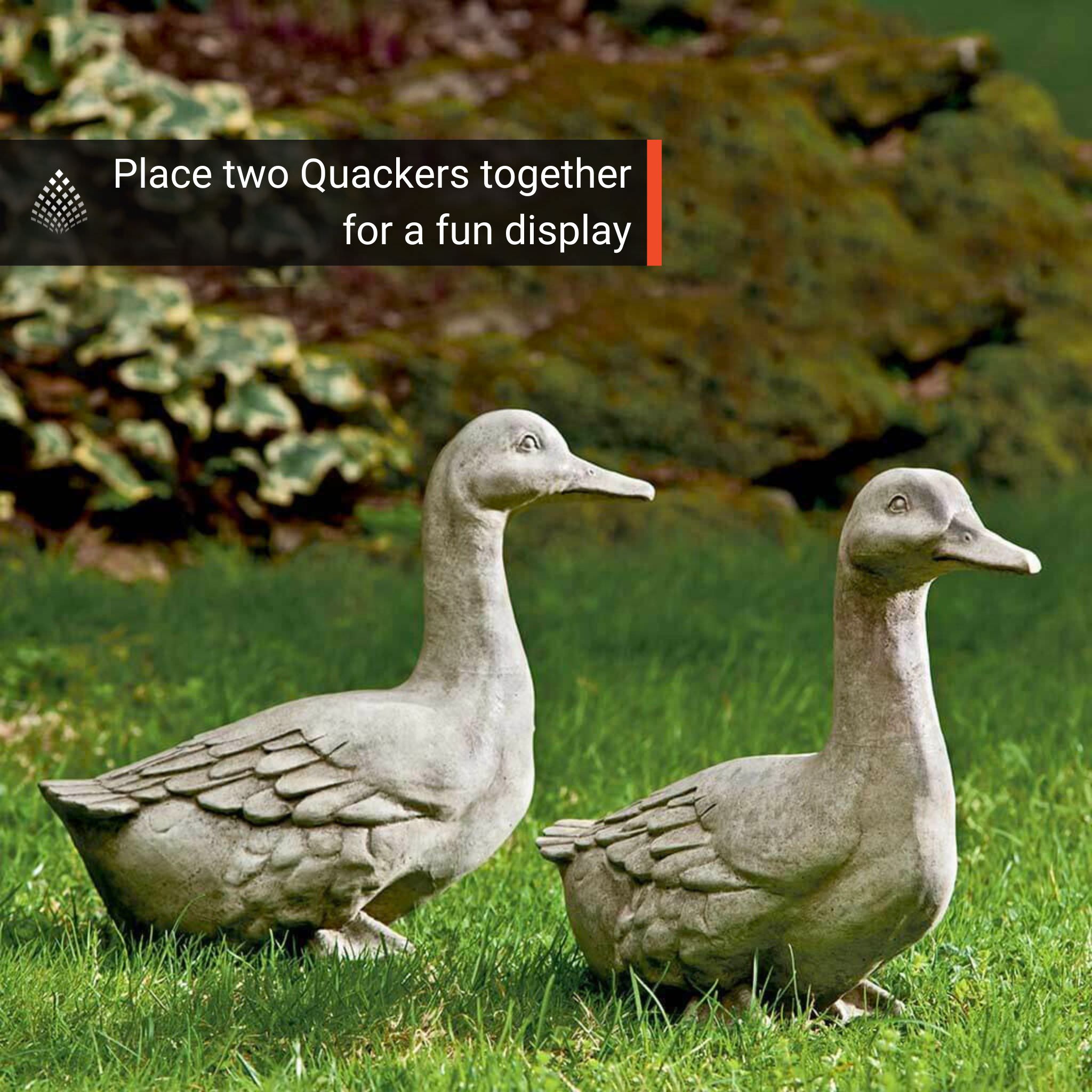 Quackers Duck Concrete Garden Statue - Campania #A436