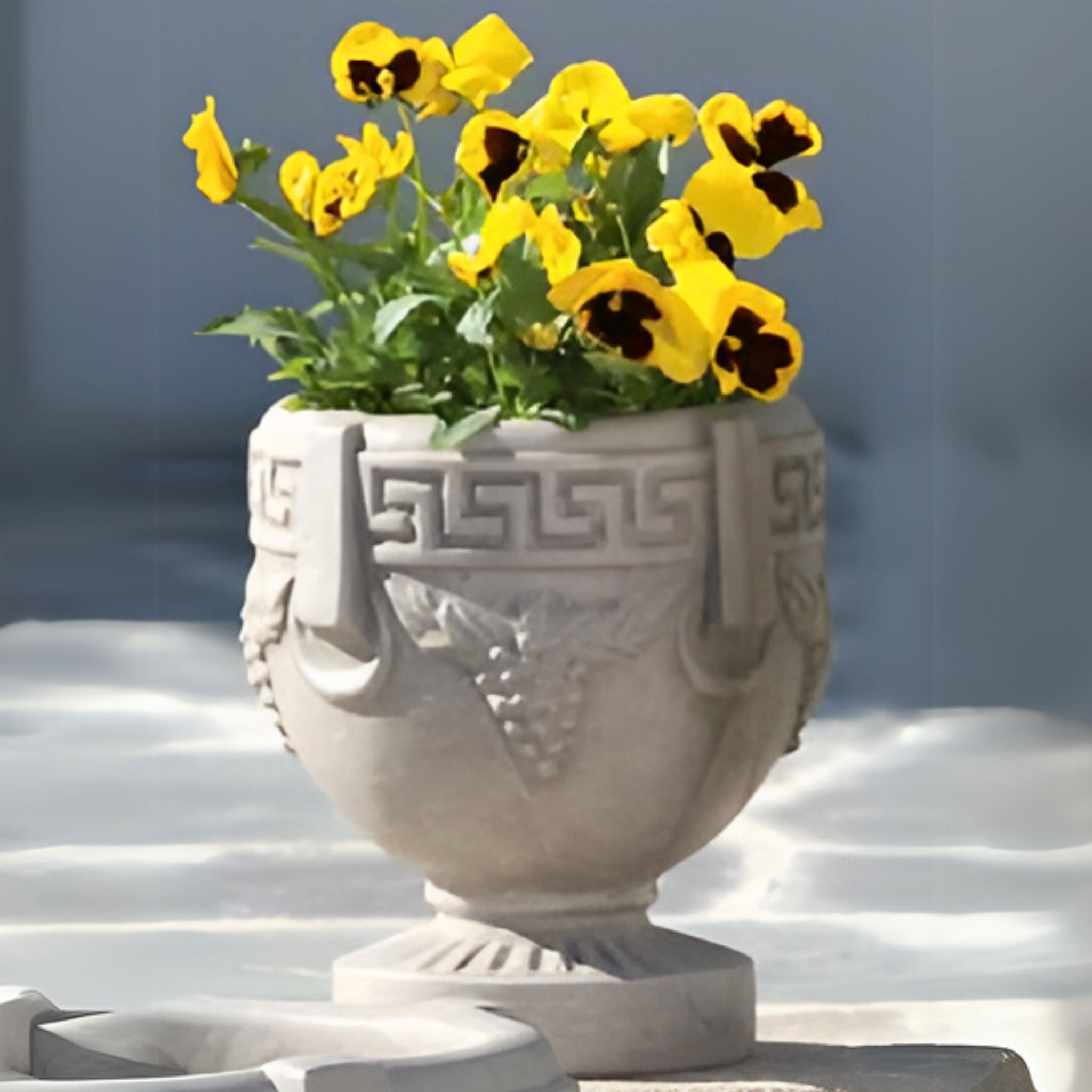 Grecian Urn Concrete Planters - Massarellis