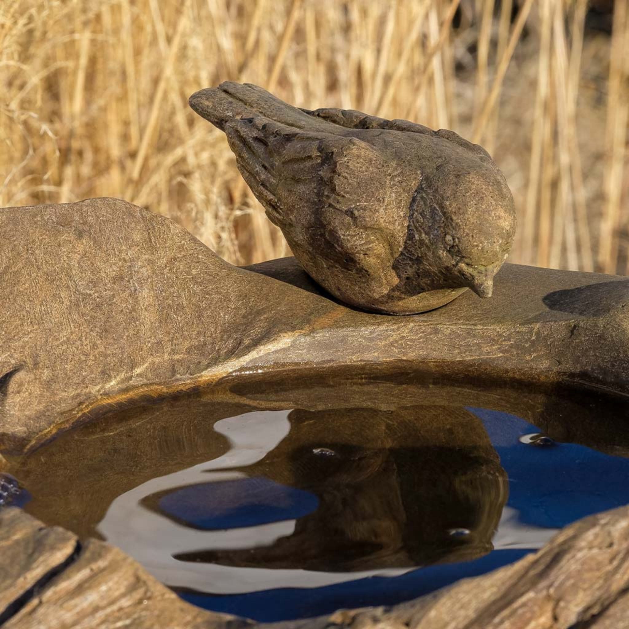 Driftwood Perch Concrete Bird Bath - Campania #B209