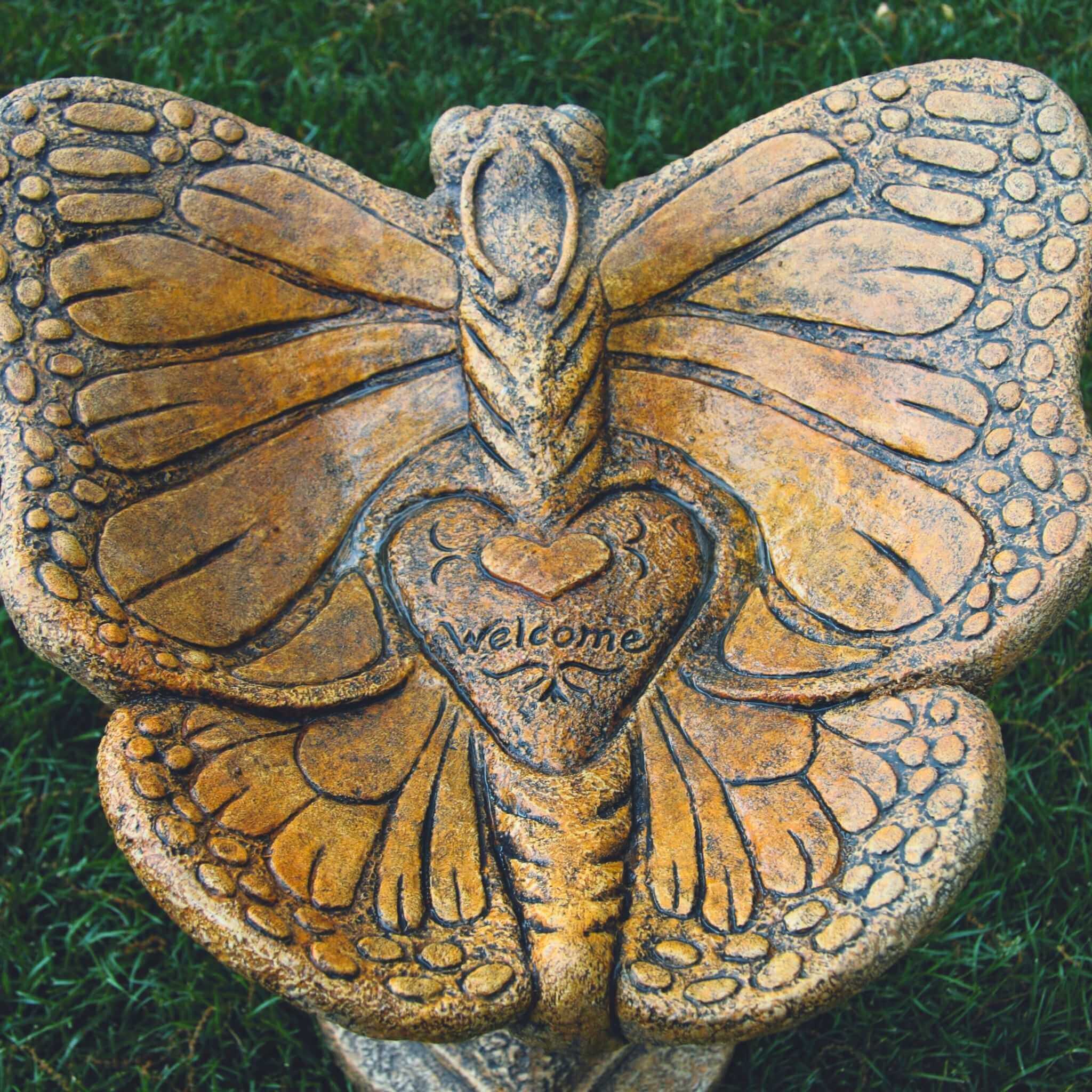 Butterfly 1-Piece Concrete Bird Bath - Massarellis #9743