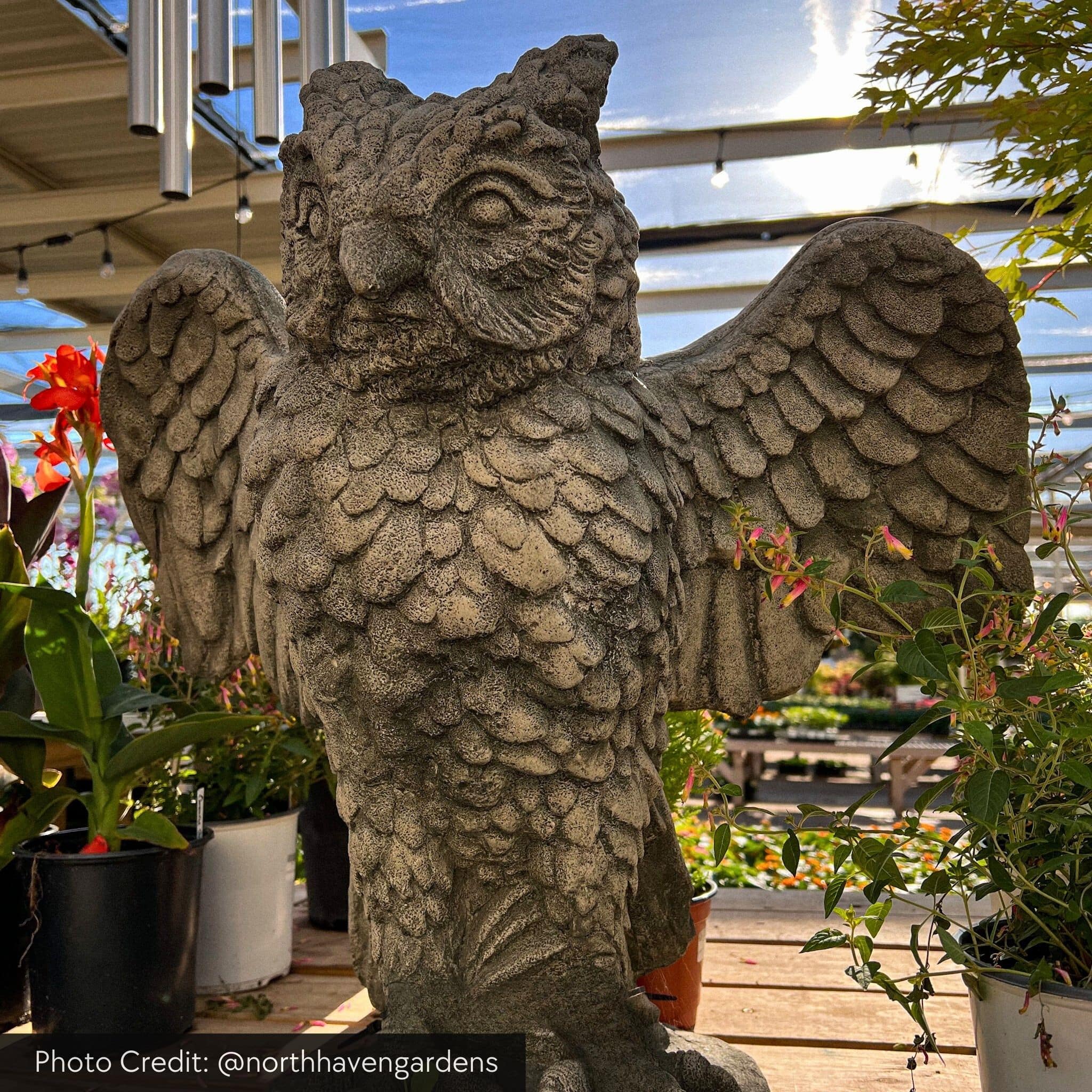Soaring Owl Concrete Garden Statue - Campania
