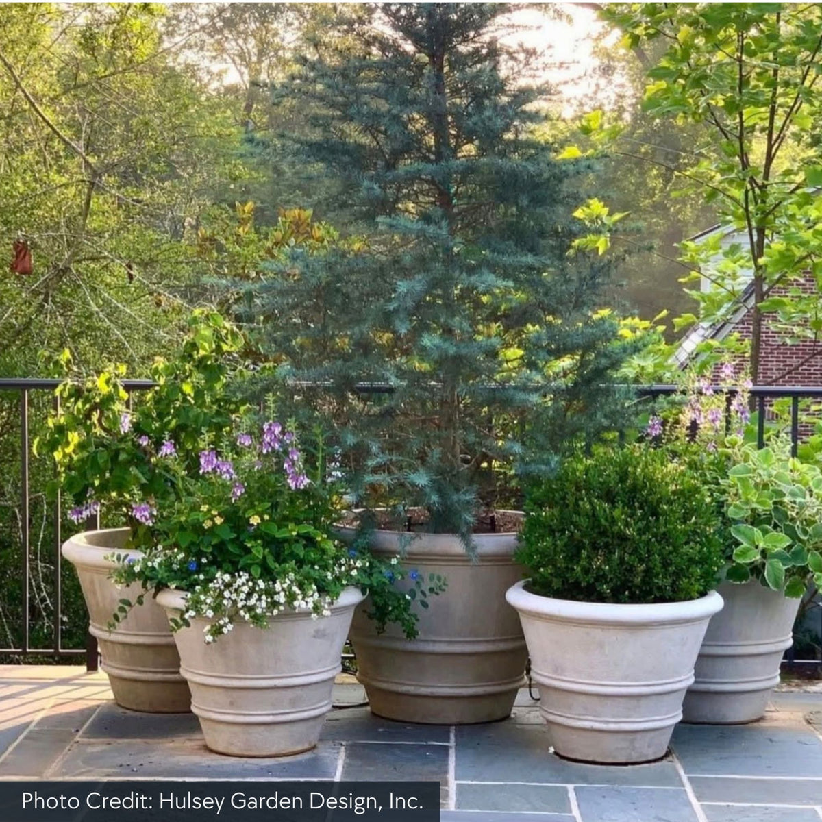 Classic Rolled Rim Concrete Round Planters - Campania