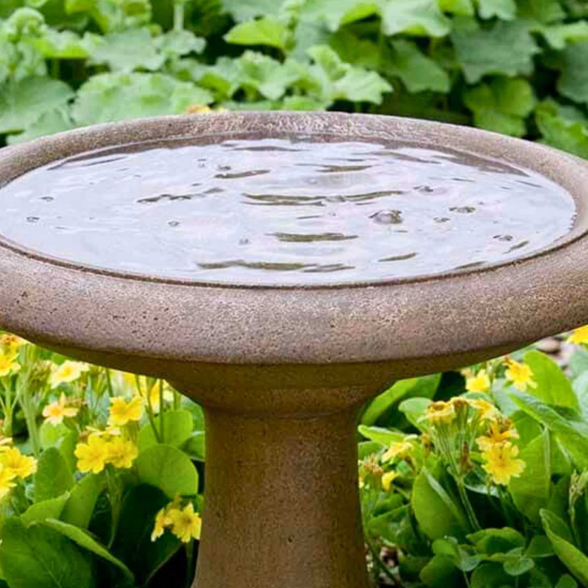 Campania International Williamsburg Summer House Birdbath - Thumbnail 5