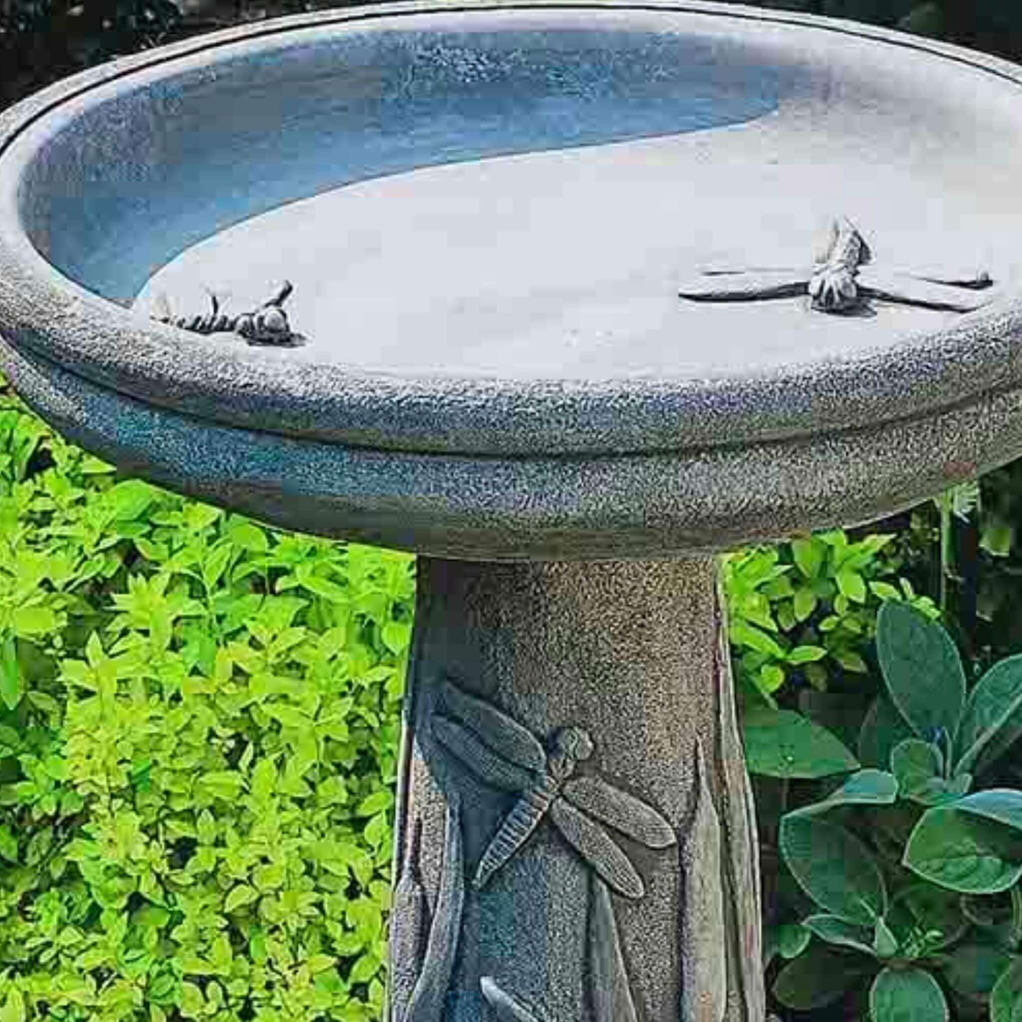 Dragonfly Concrete Bird Bath - Campania #B056