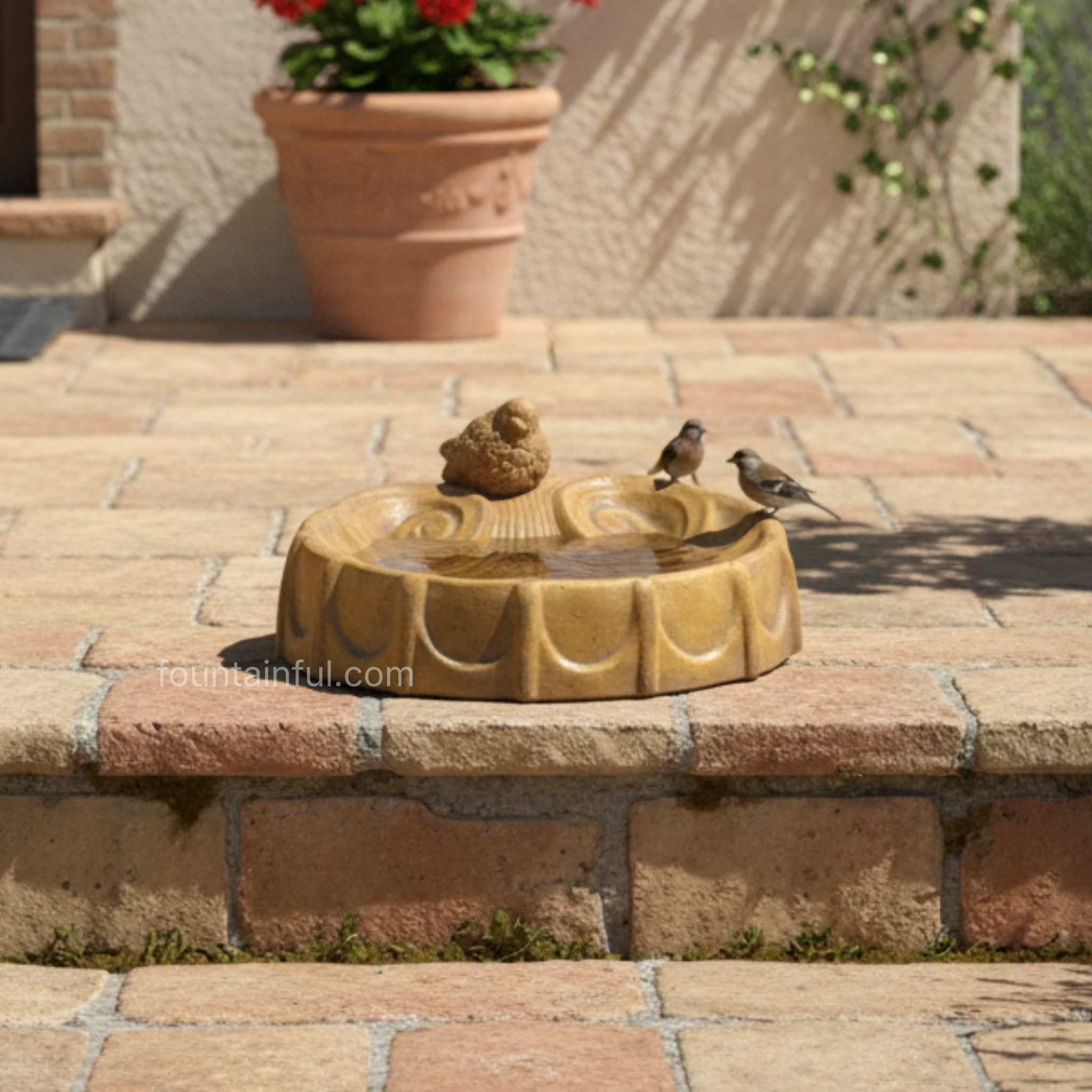 Shell with Bird Concrete Bird Bath - Giannini #401 - Luxury Italian Garden Decor
