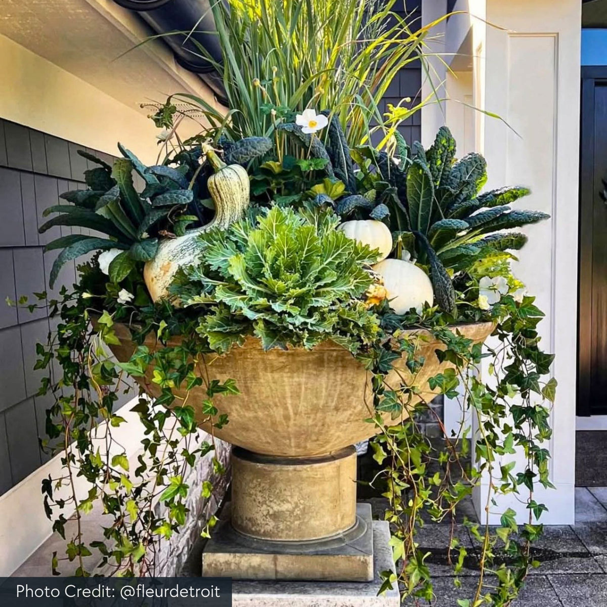 Savoy Concrete Planter - Campania #P622