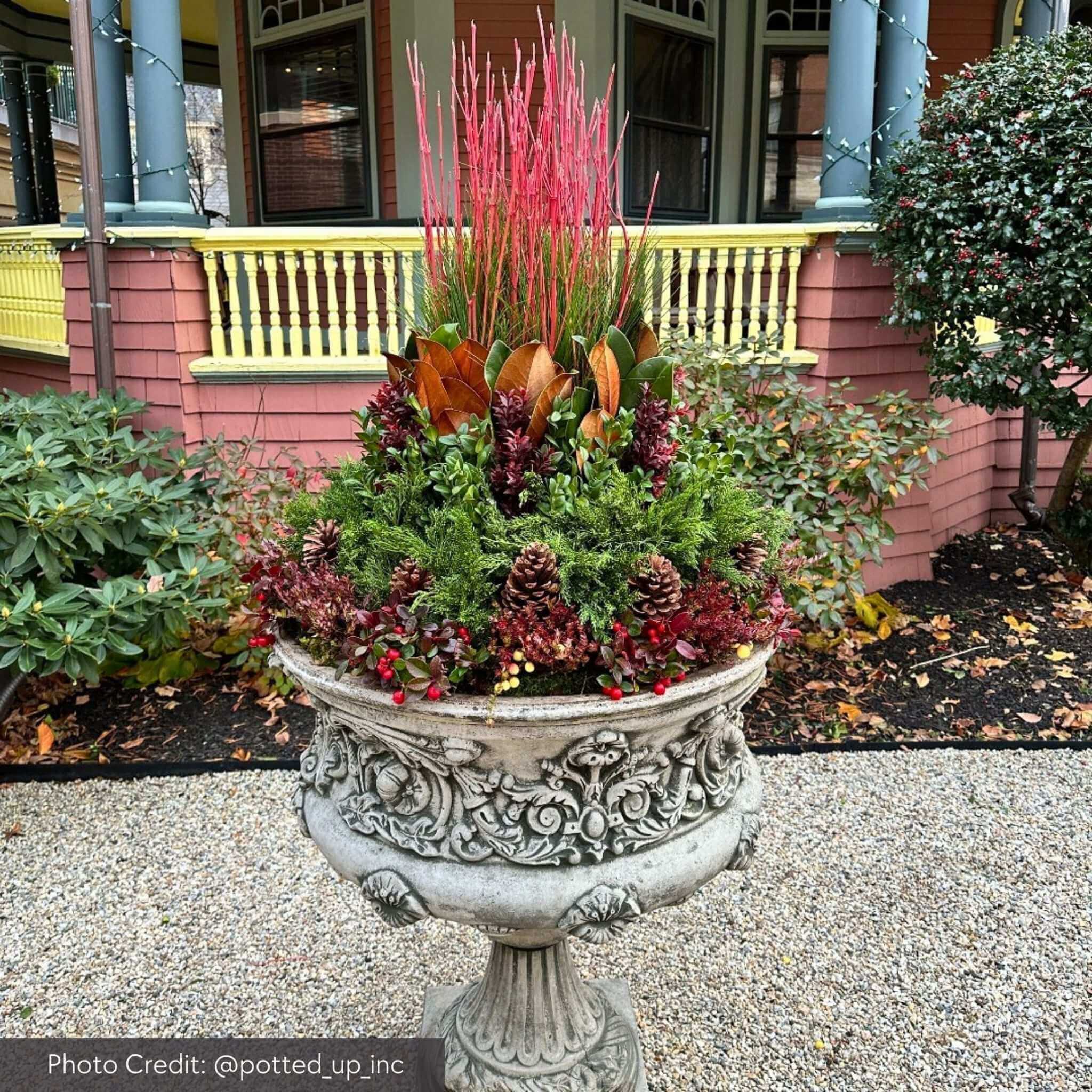 Smithsonian Morning Glory Concrete Urn Planter - Campania