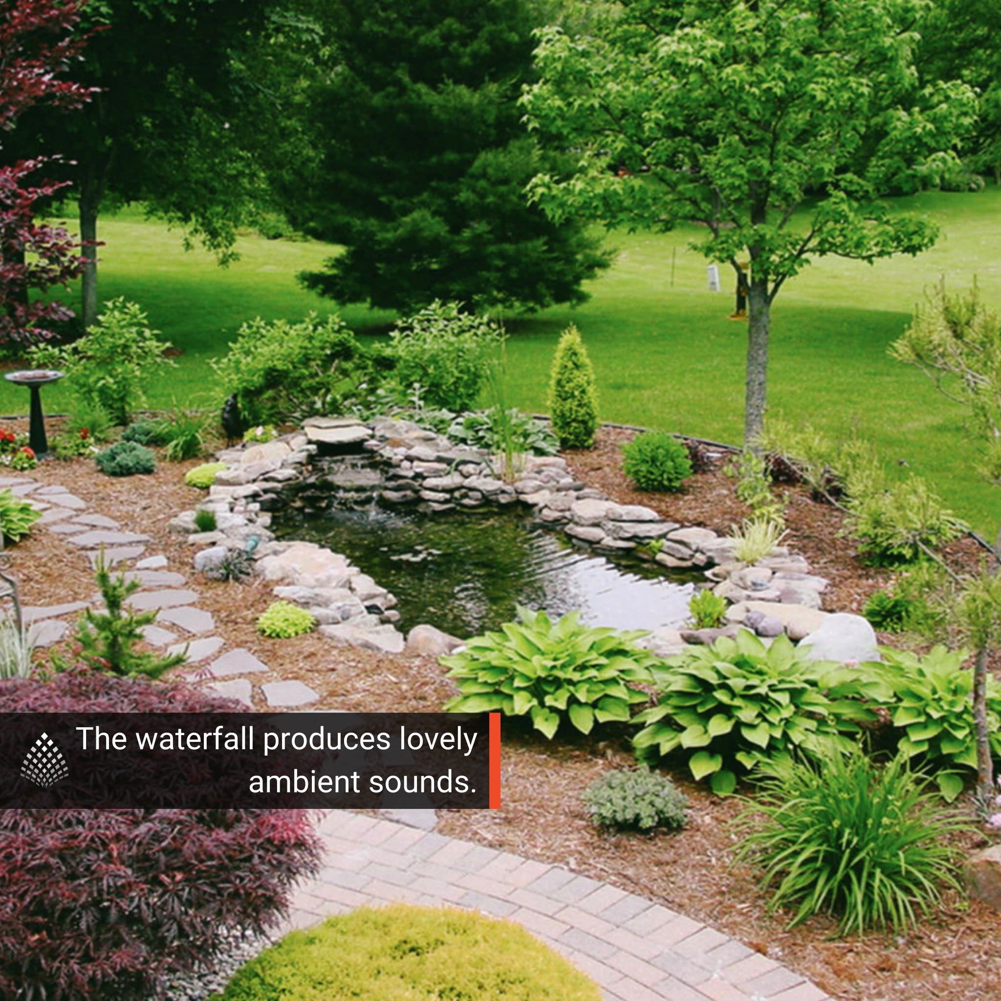 Large Pond DIY Kit - Blue Thumb