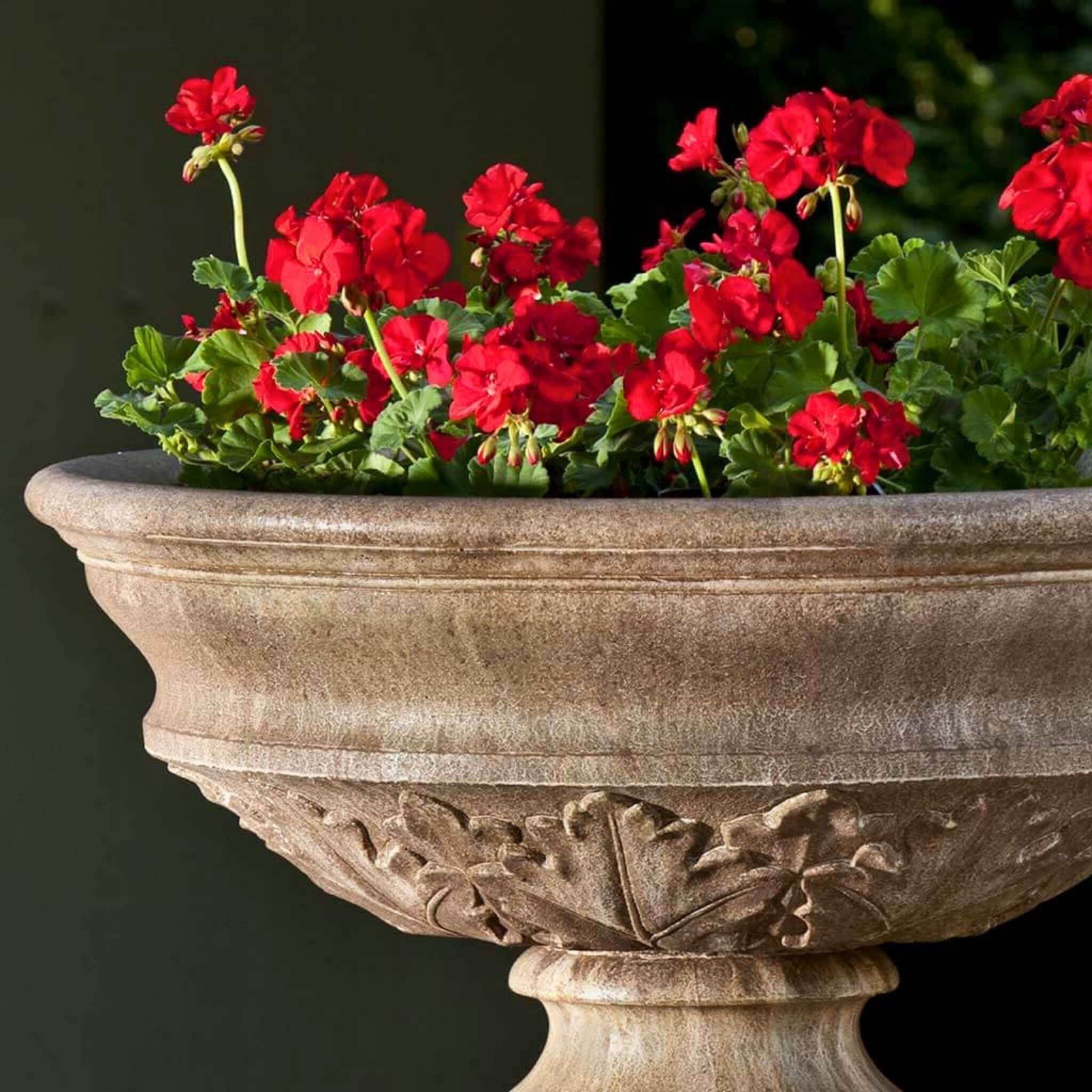 Coachhouse Urn Planter - Thumbnail 4