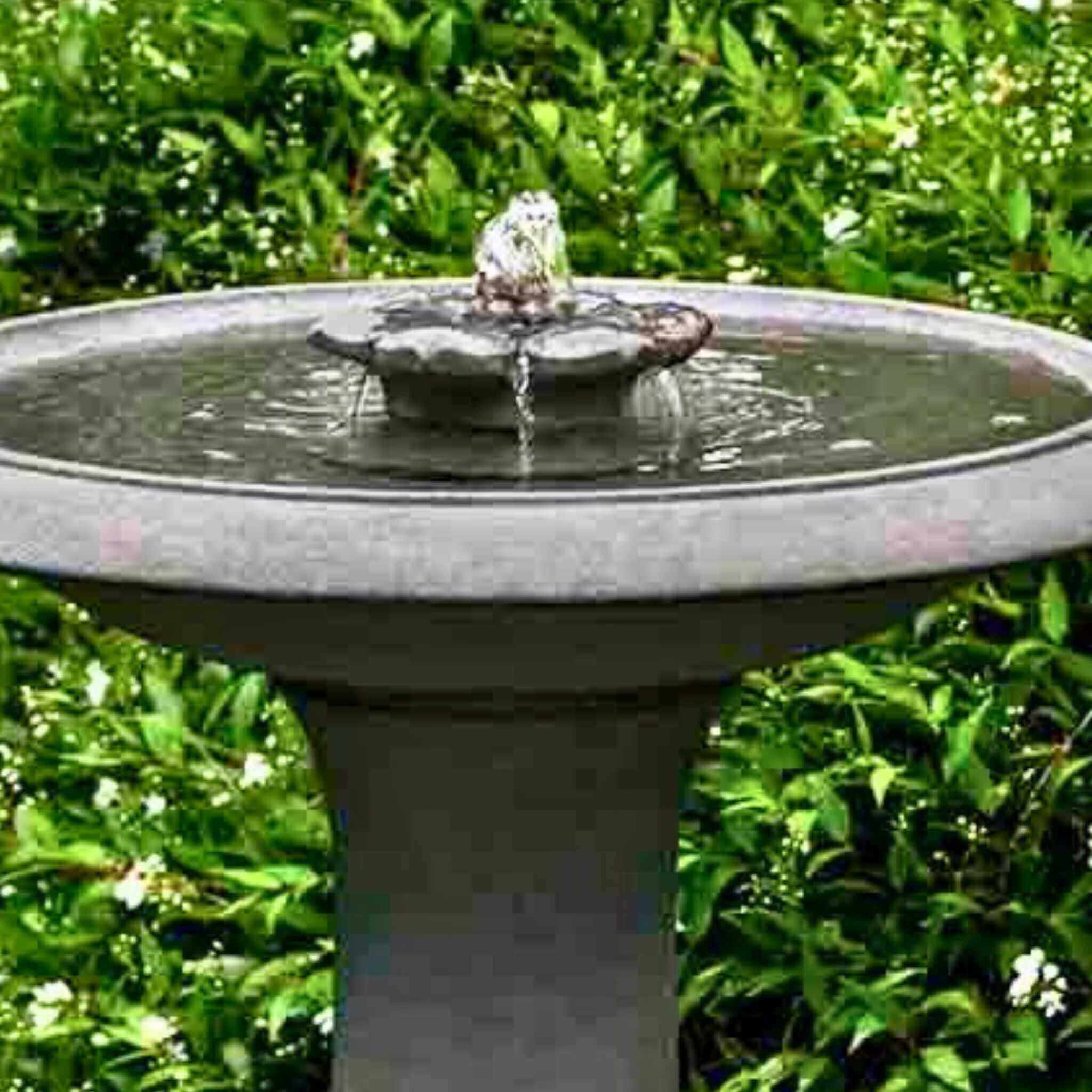 Camellia Concrete Birdbath Fountain - Campania #FT311