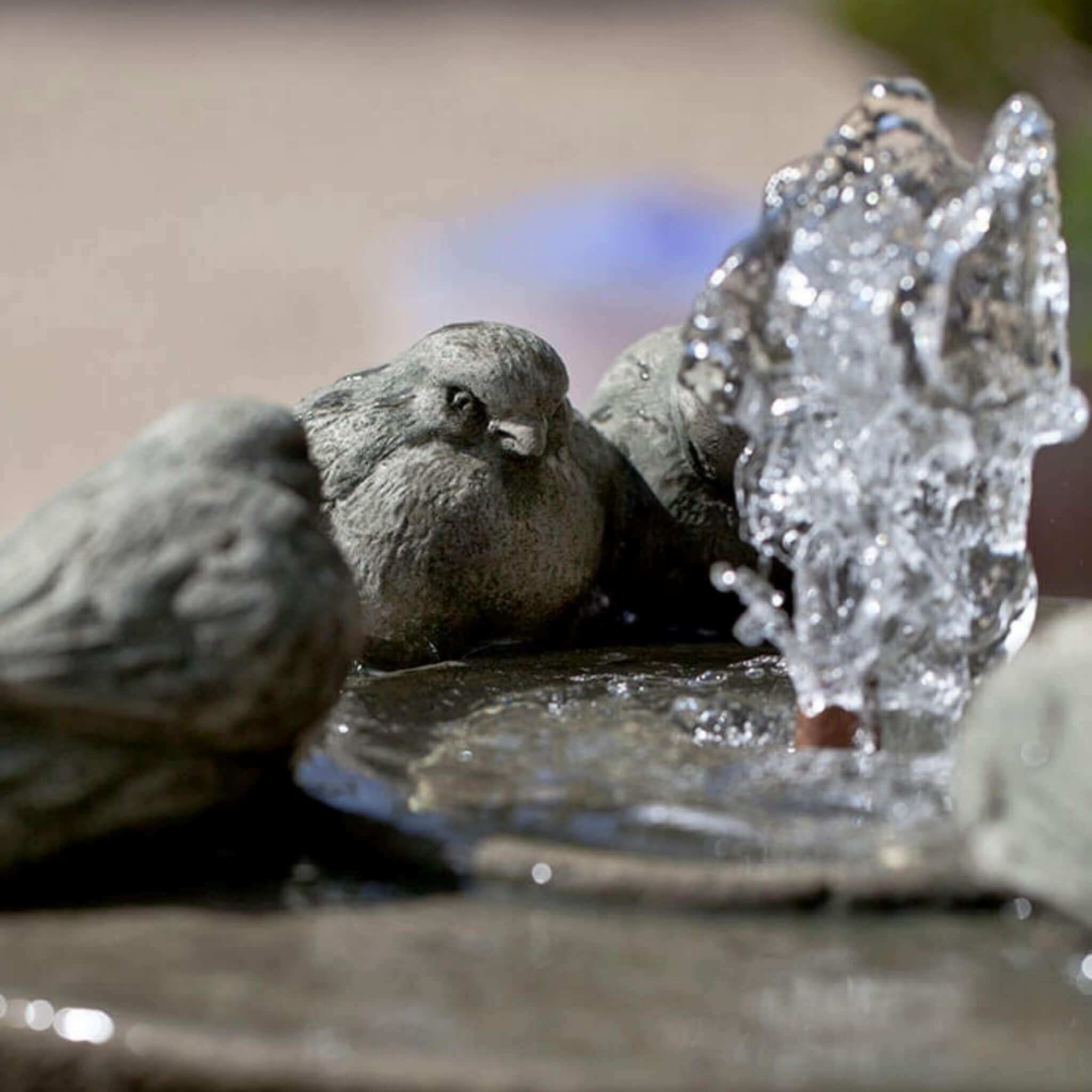 Passaros II Concrete Fountain - Campania