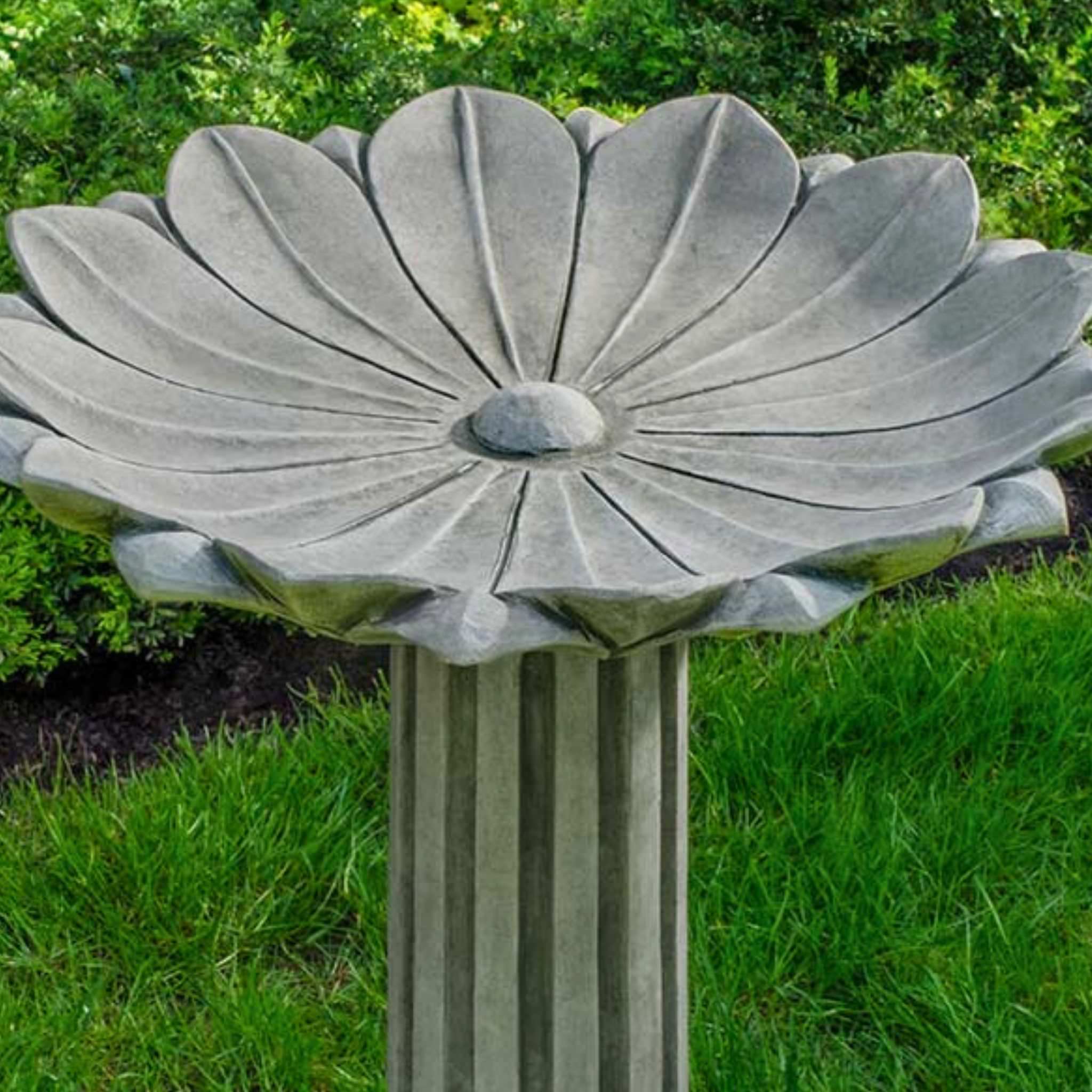 Marguerite Concrete Bird Bath - Campania #B204