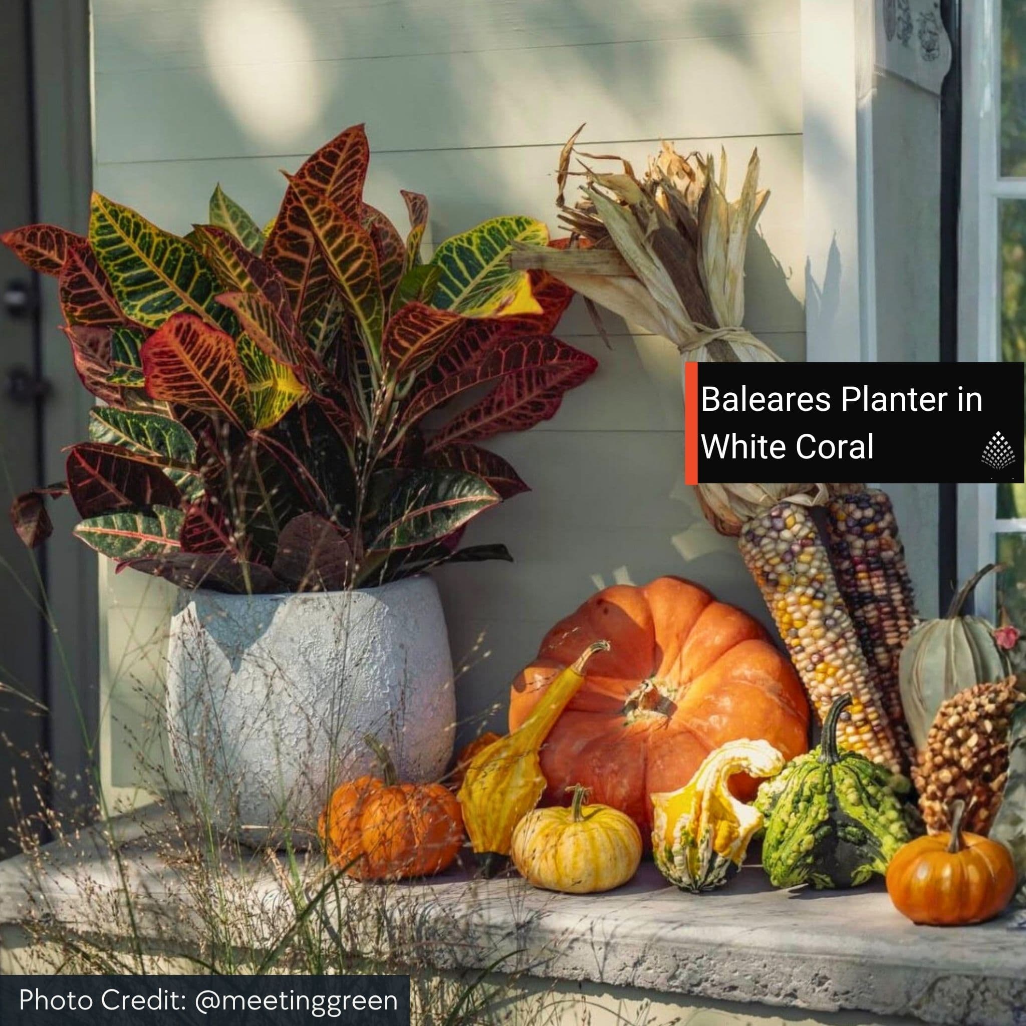 Baleares Set of 3 Glazed Terra Cotta Planters - Campania #6744