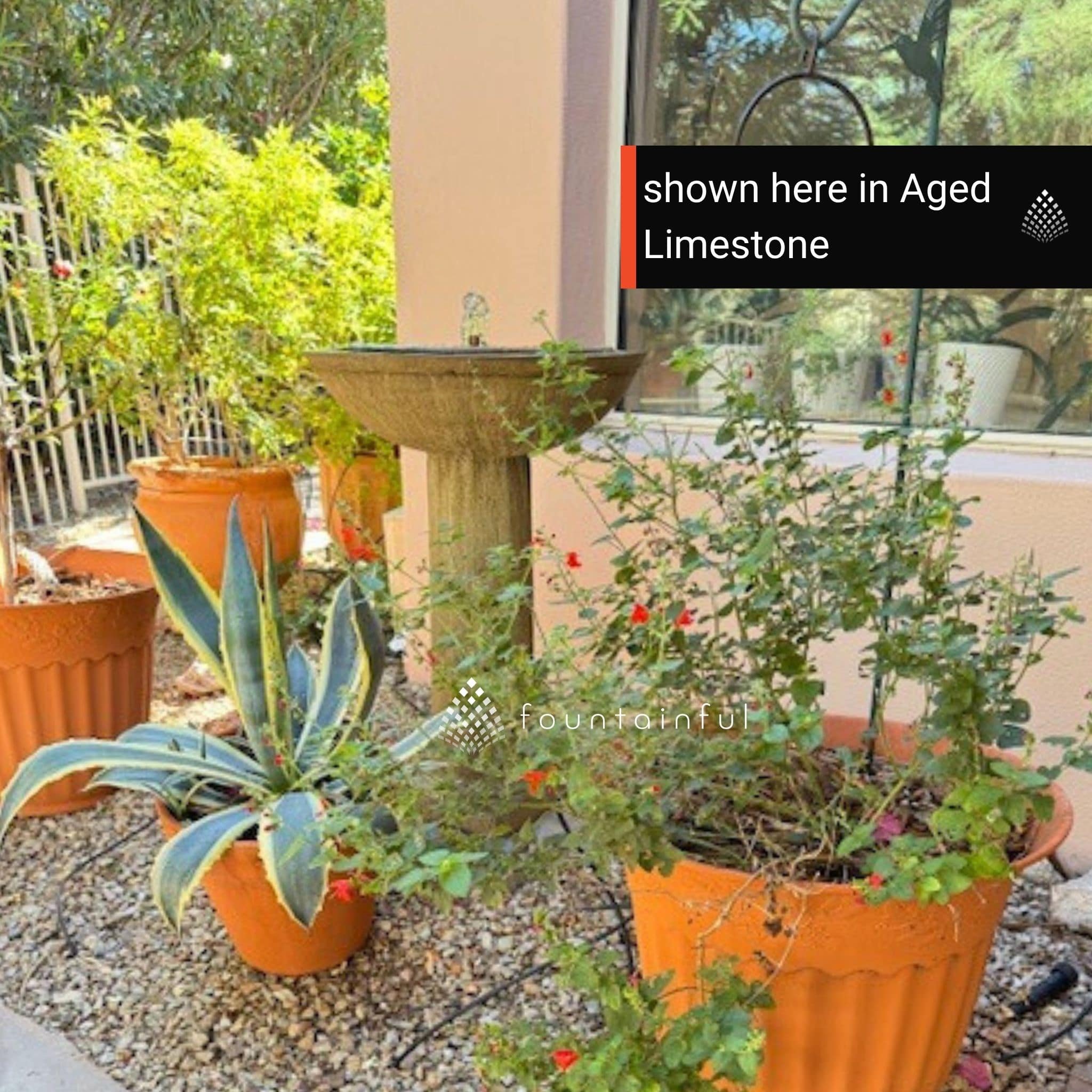 Hydrangea Leaves Concrete Birdbath Fountain - Campania #FT248