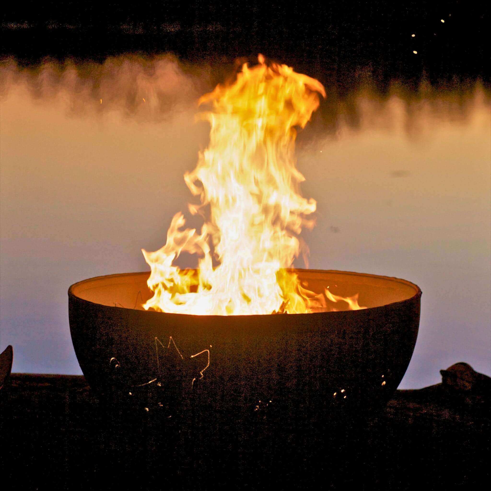 "Funky Dog" Wood Burning Fire Pit in Steel - Fire Pit Art