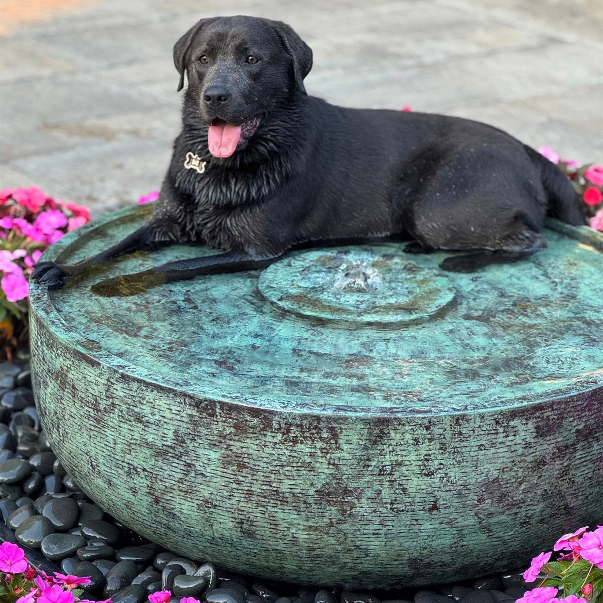 Brass Reflection Bowl Fountain - Complete Kit - Blue Thumb