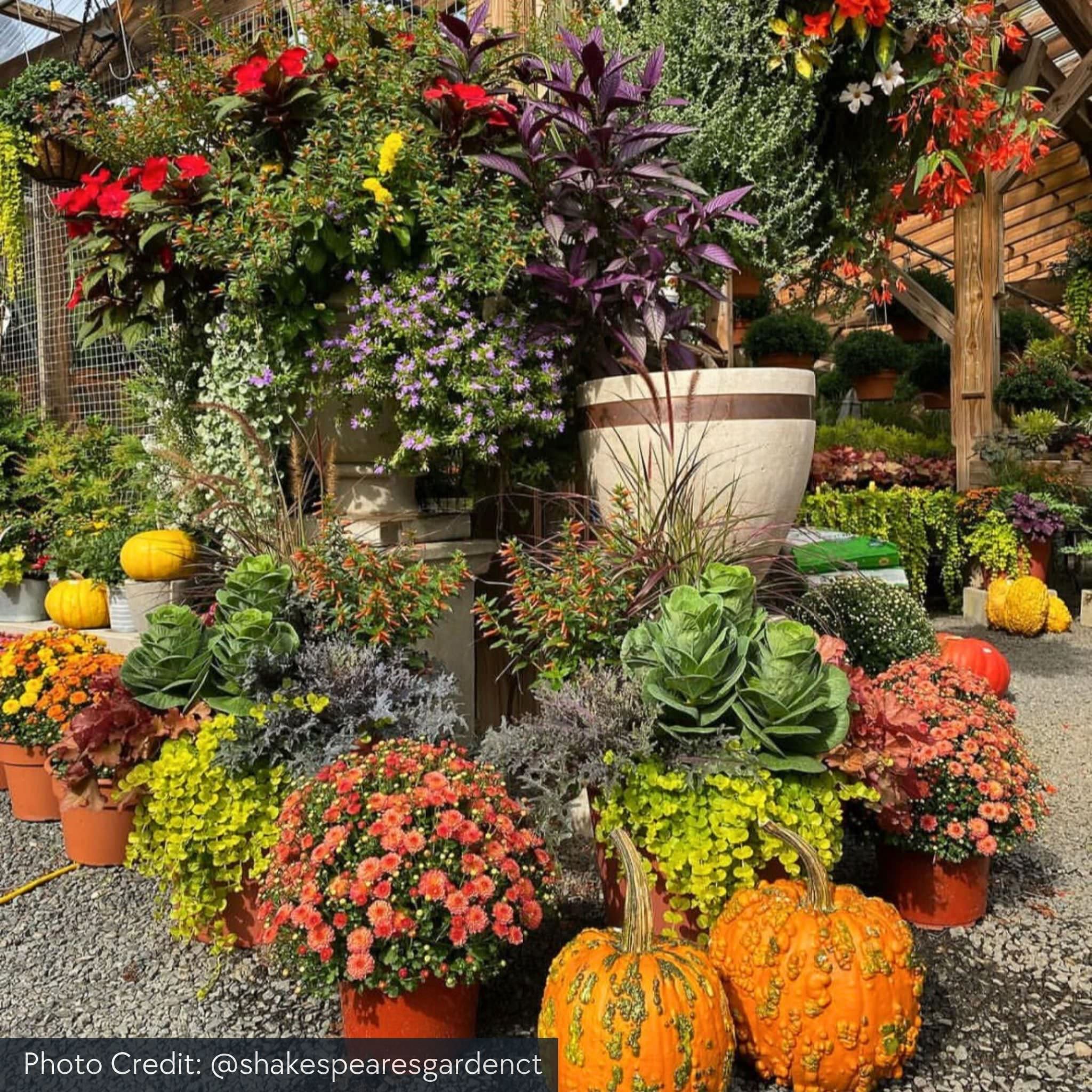 Moderne Copper Banded Concrete Planters - Campania