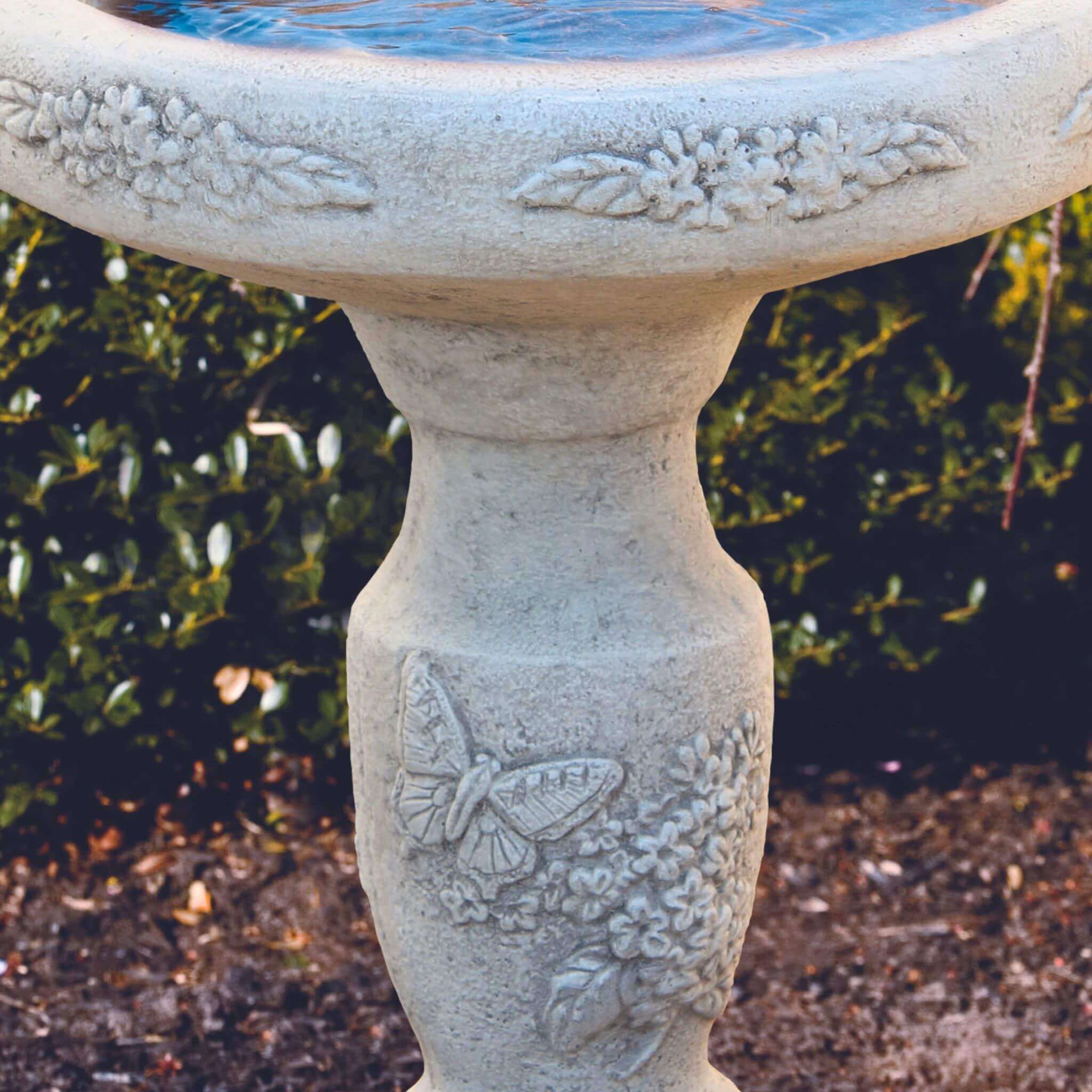 Massarelli's Bird Bath - Thumbnail 2
