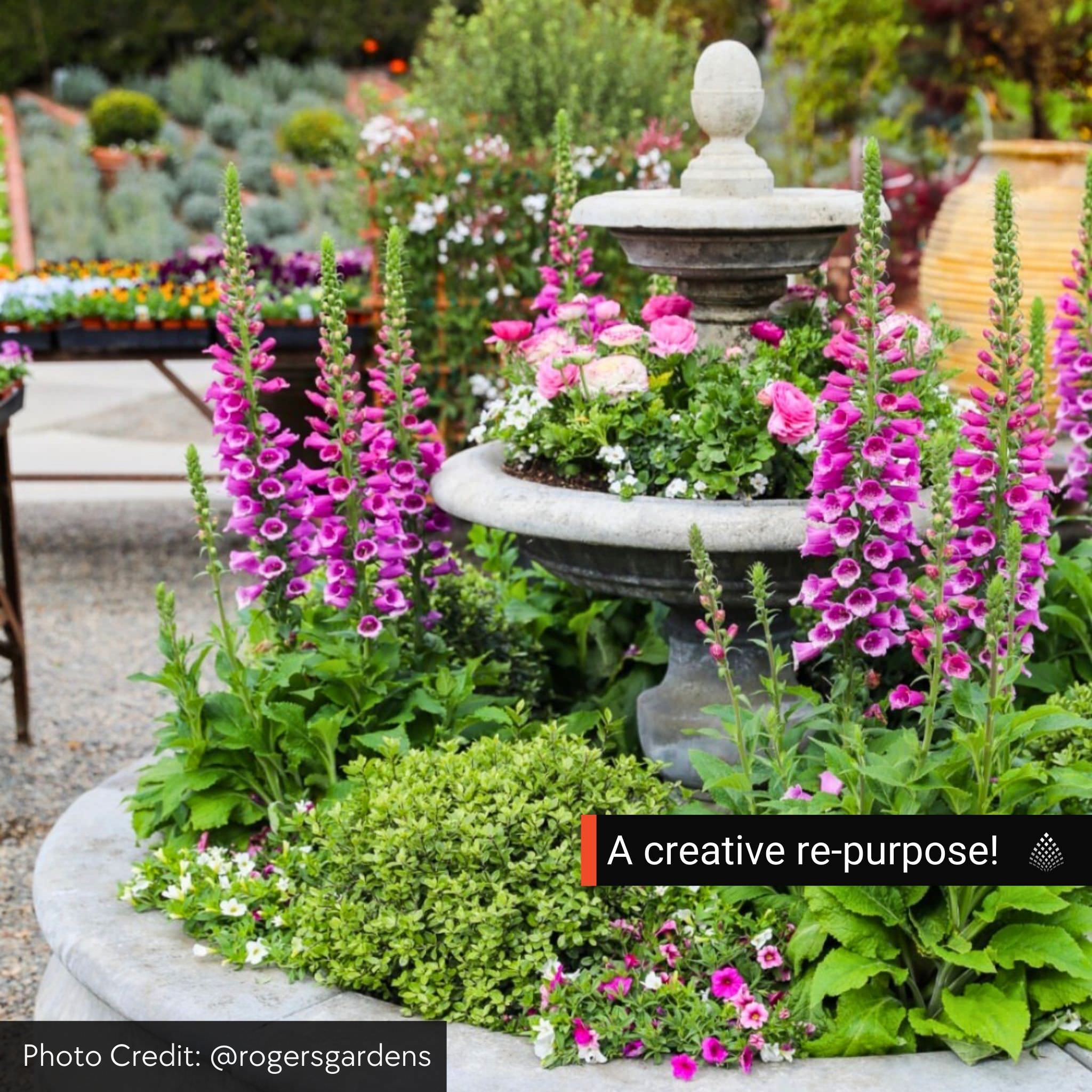 Caterina 2-Tier Fountain in Basin - Thumbnail 4