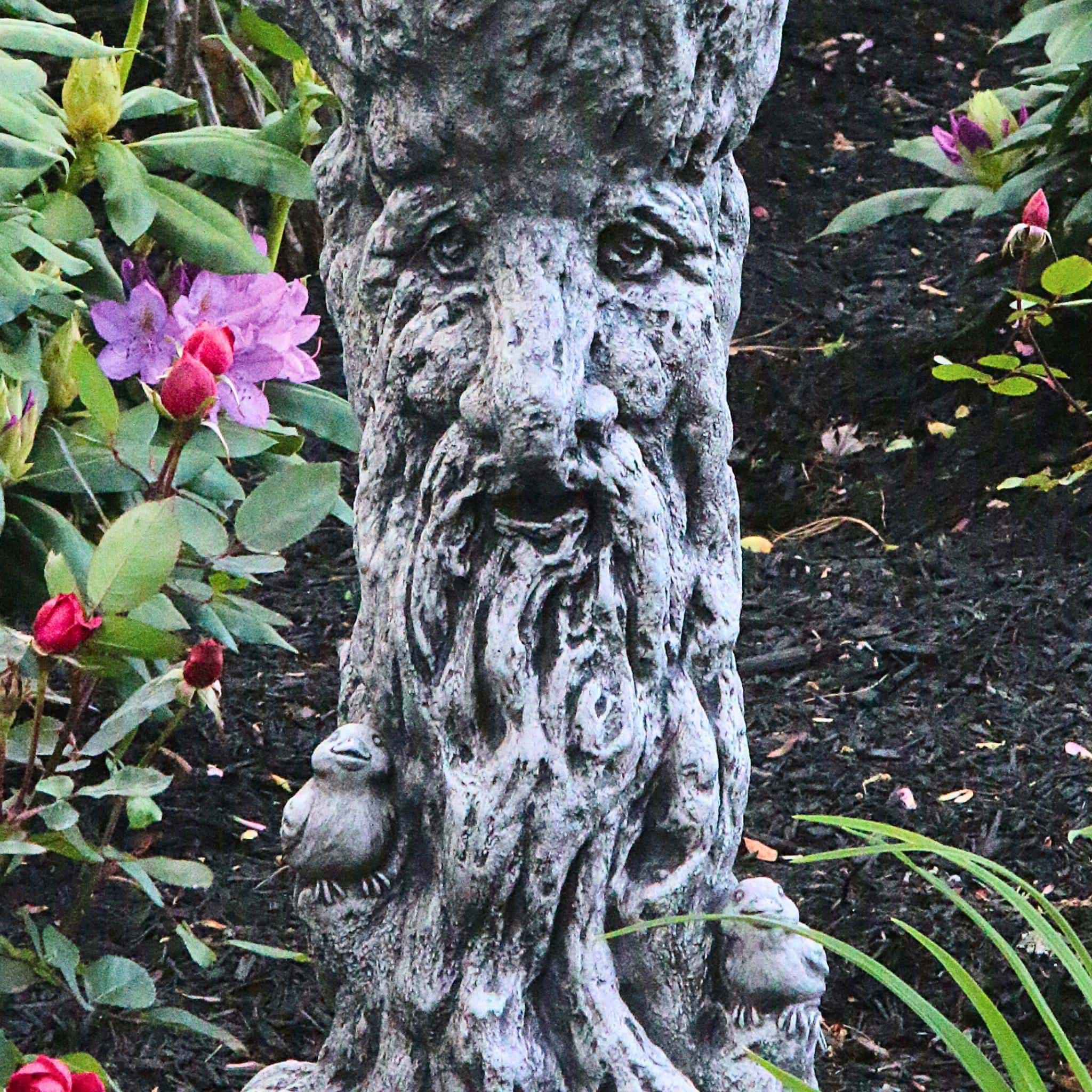 Wise Old Tree Concrete Fountainette w/ Tree Man Pedestal & Lights - Massarellis #3914