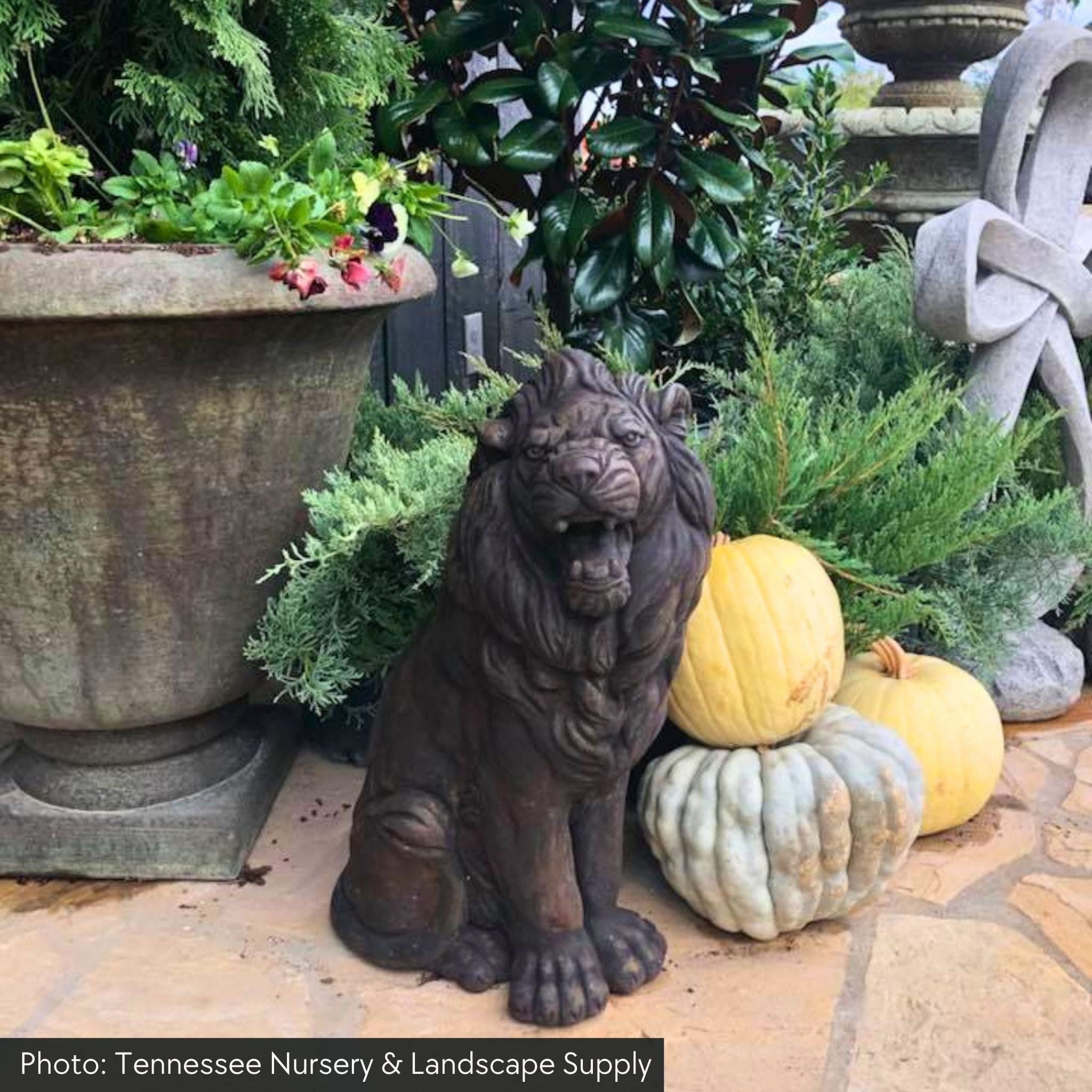 Sitting Lion Left & Right Concrete Statues - Massarellis