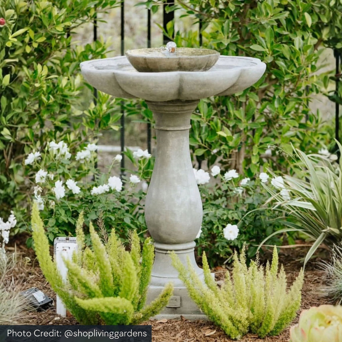 Flores Pedestal Concrete Fountain - Campania #FT180
